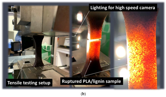 Digital Light Processing Route for 3D Printing of Acrylate-Modified PLA ...