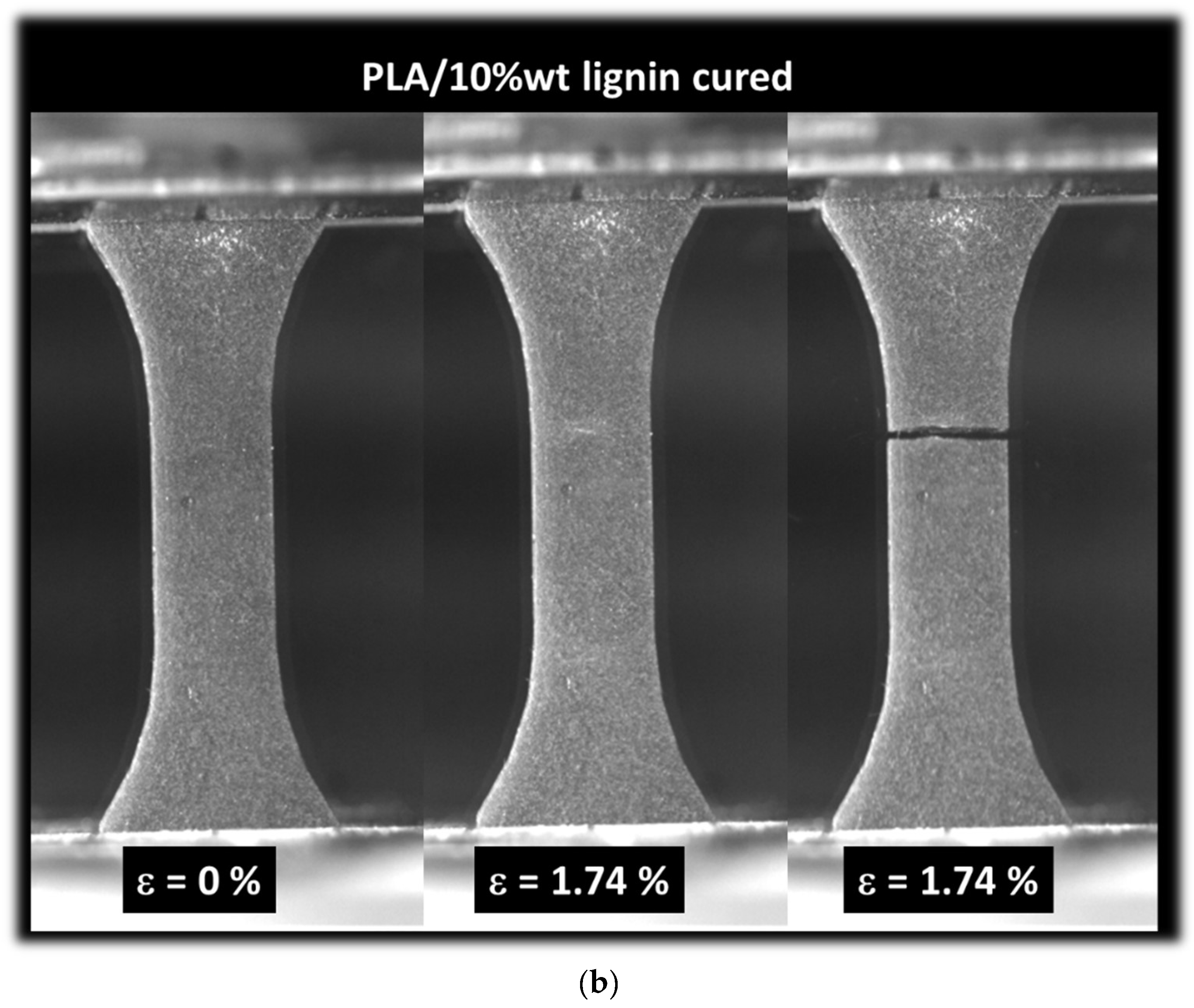 Polymers 16 01342 g009b