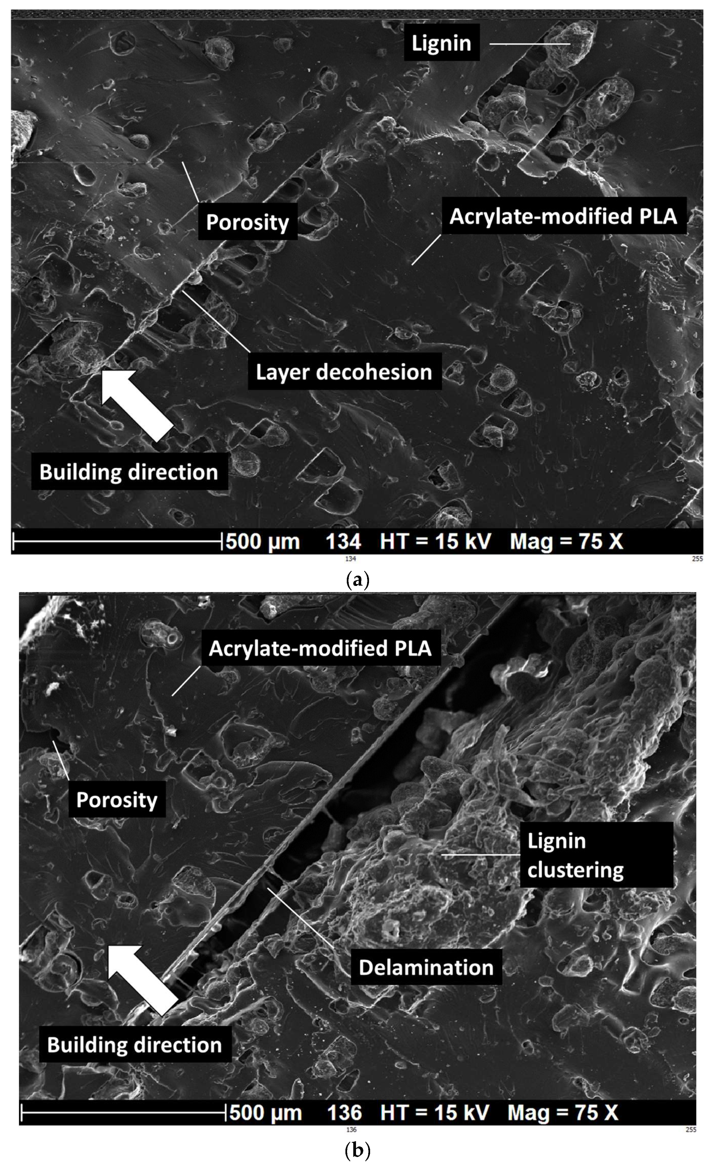 Polymers 16 01342 g012