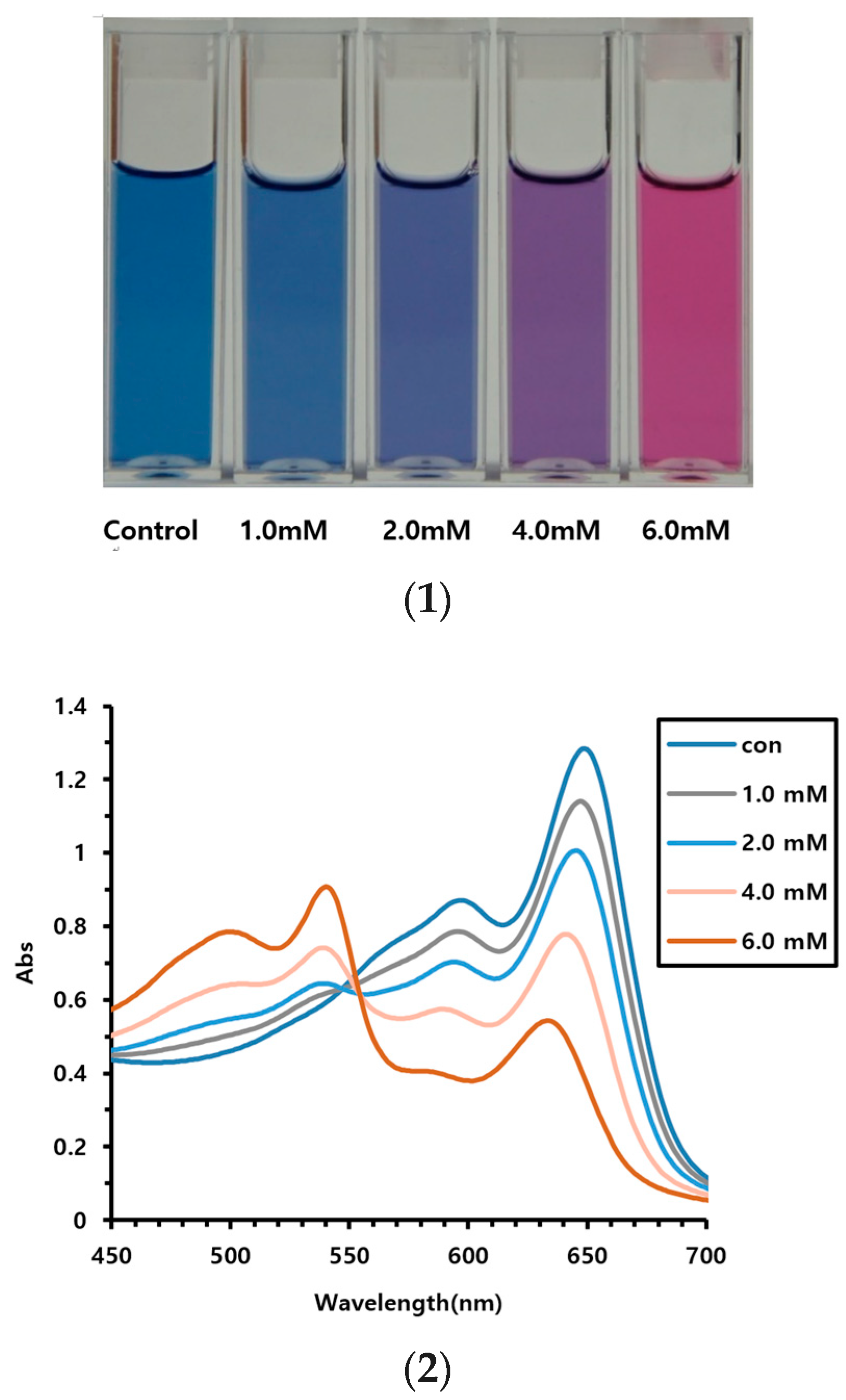 Polymers 16 01347 g003