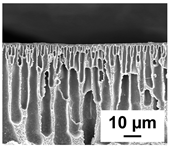 Polymers 16 01349 i003