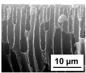 Polymers 16 01349 i007