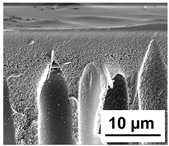 Polymers 16 01349 i019