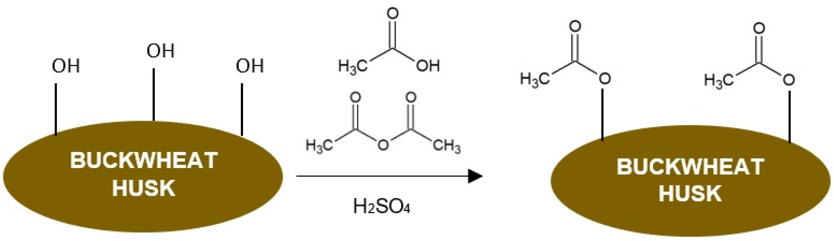 Polymers 16 01350 g002 Polymers 16 01350 g002