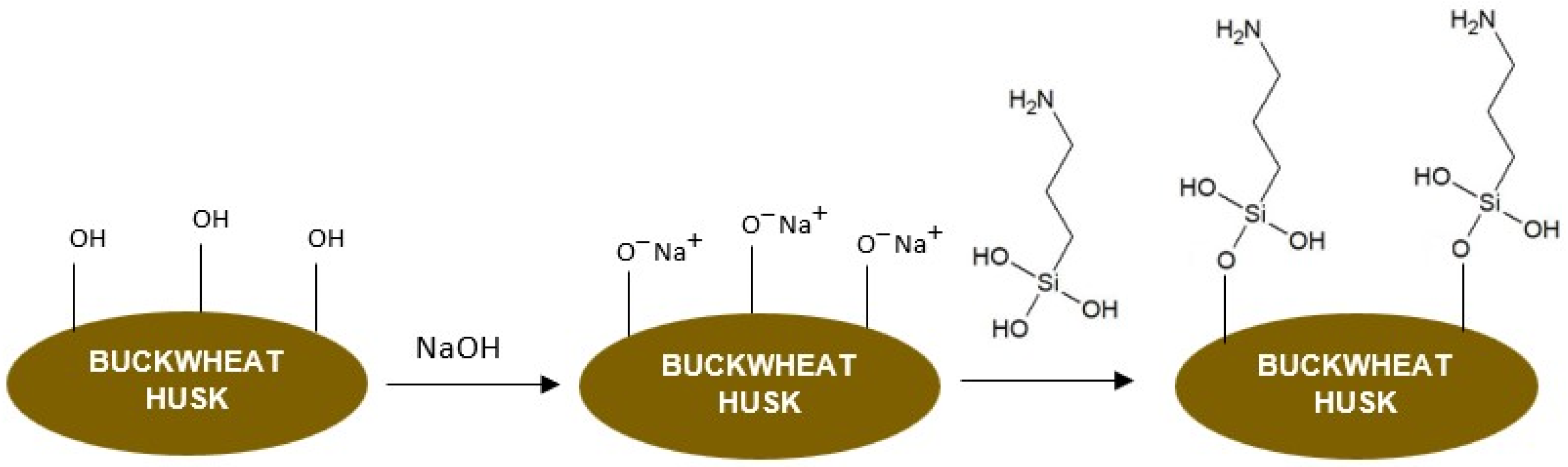 Polymers 16 01350 g003 Polymers 16 01350 g003