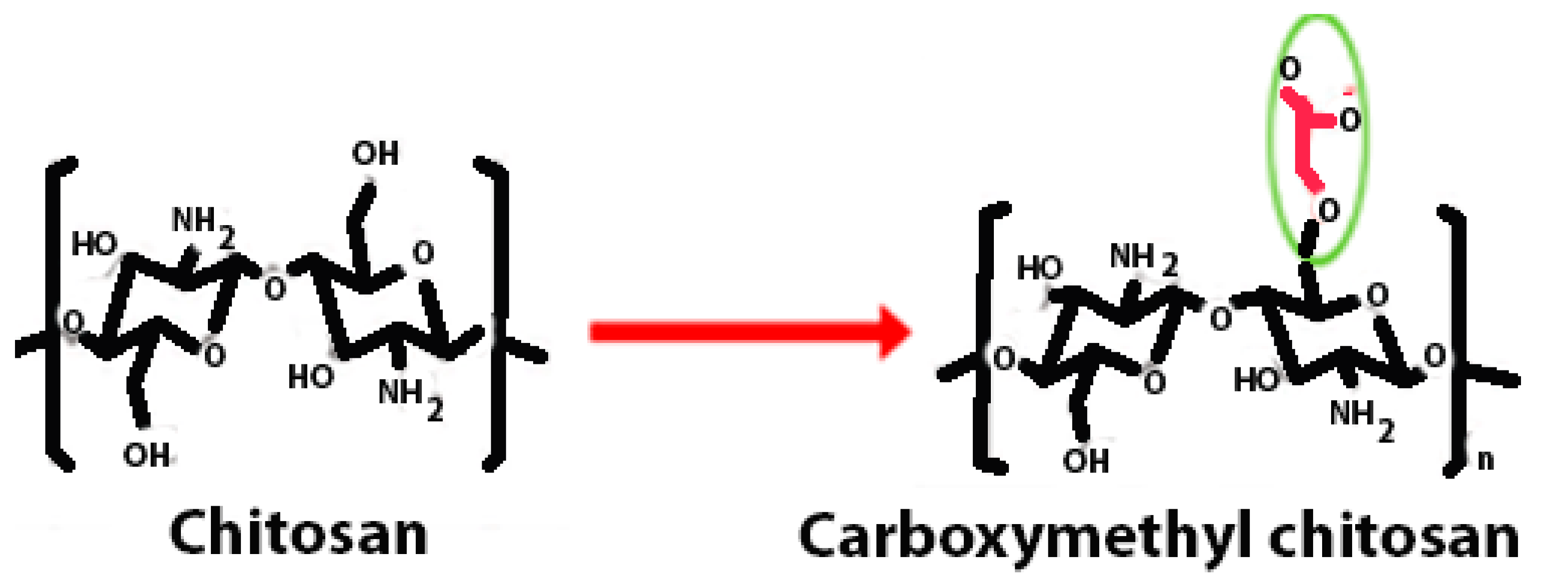 Polymers 16 01351 i005