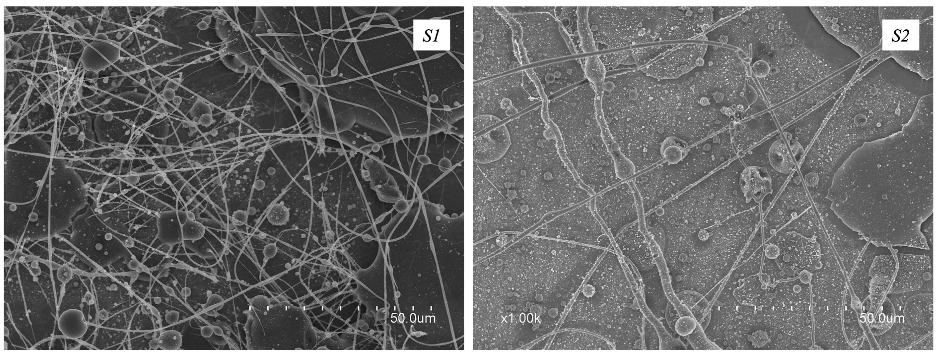 Polymers 16 01355 g001