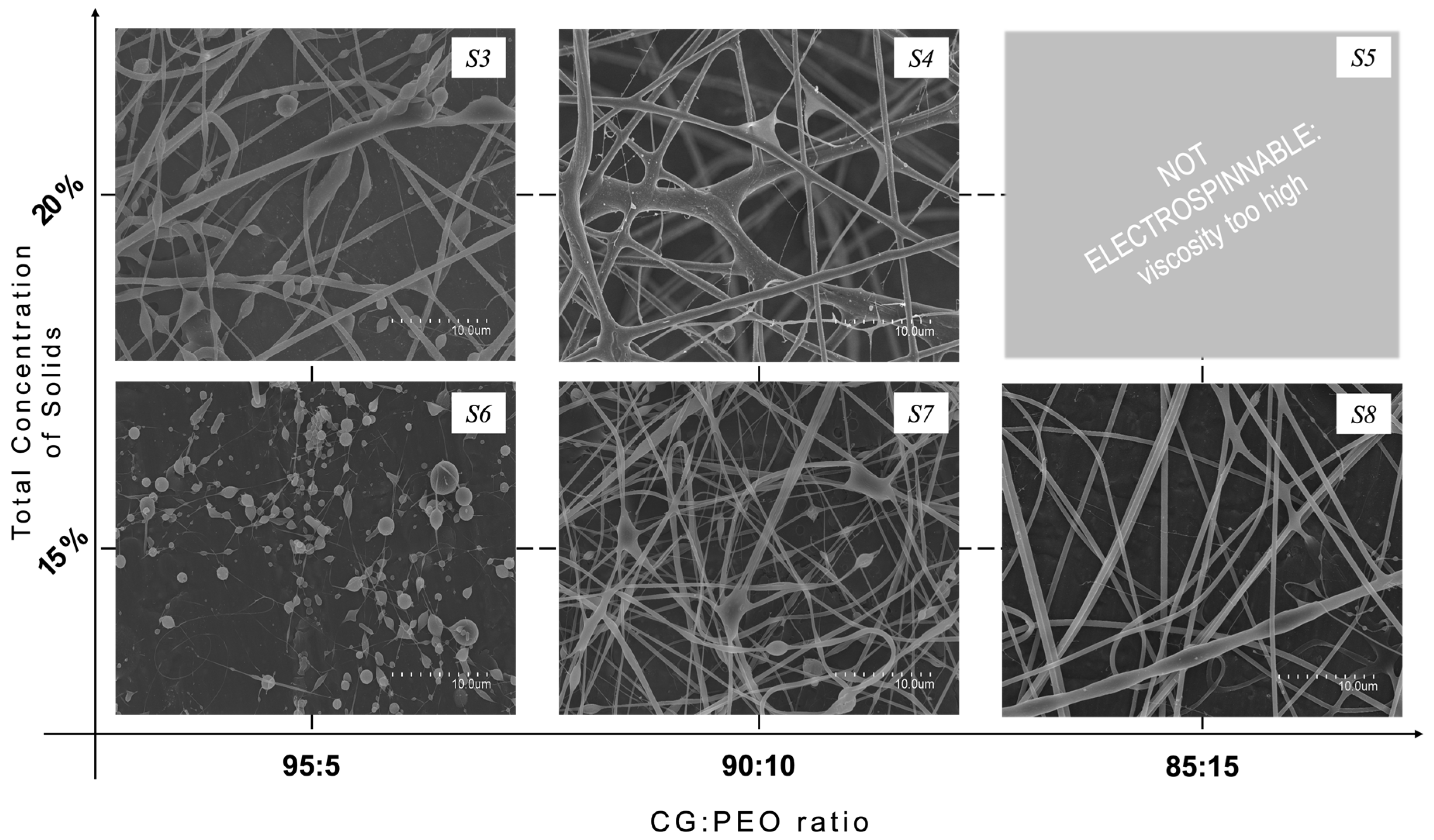 Polymers 16 01355 g002