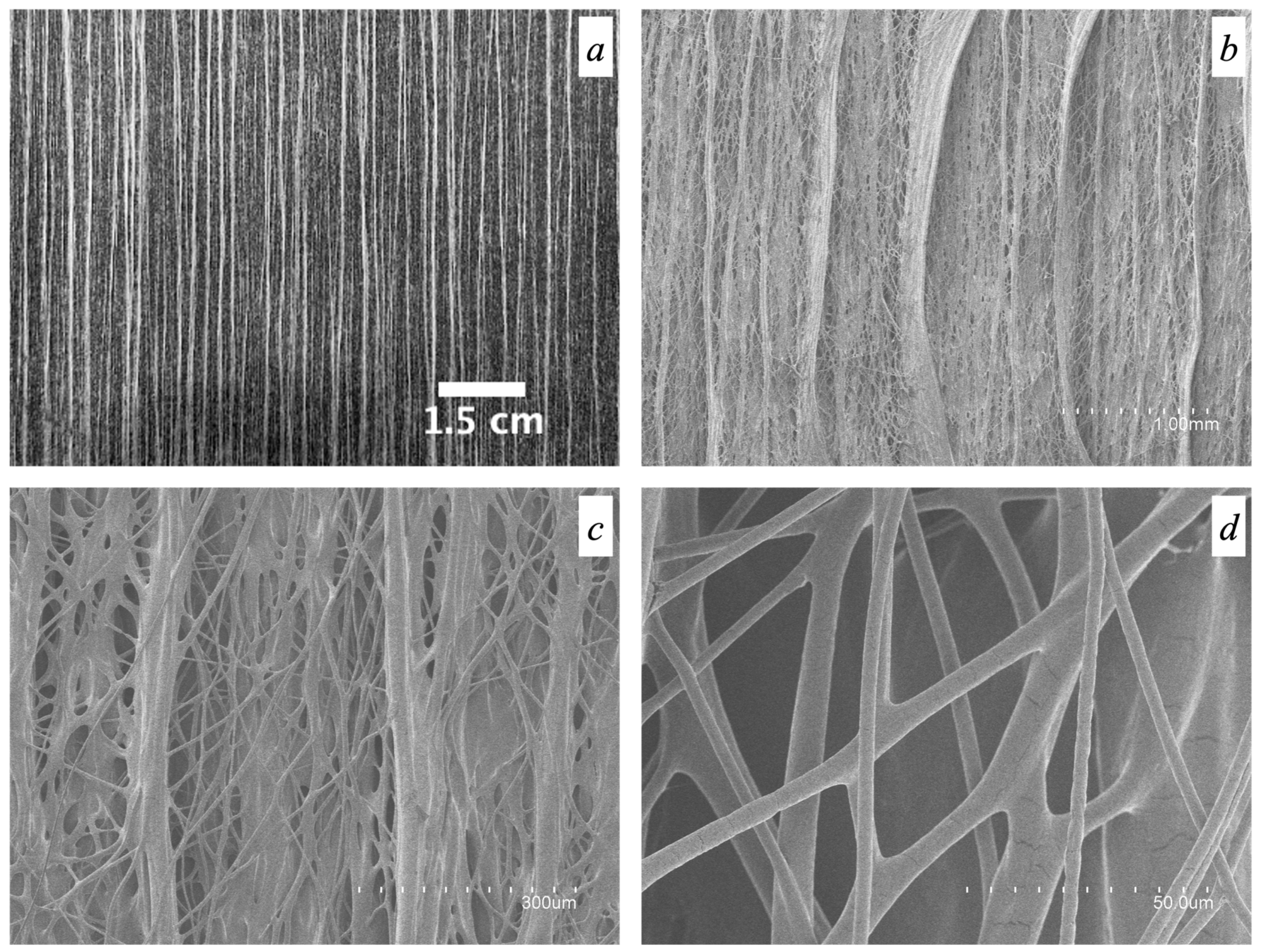 Polymers 16 01355 g007
