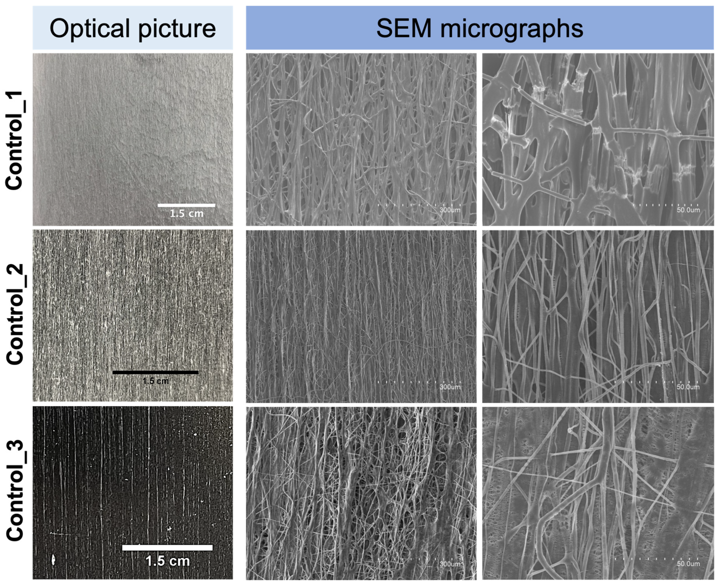 Polymers 16 01355 g008