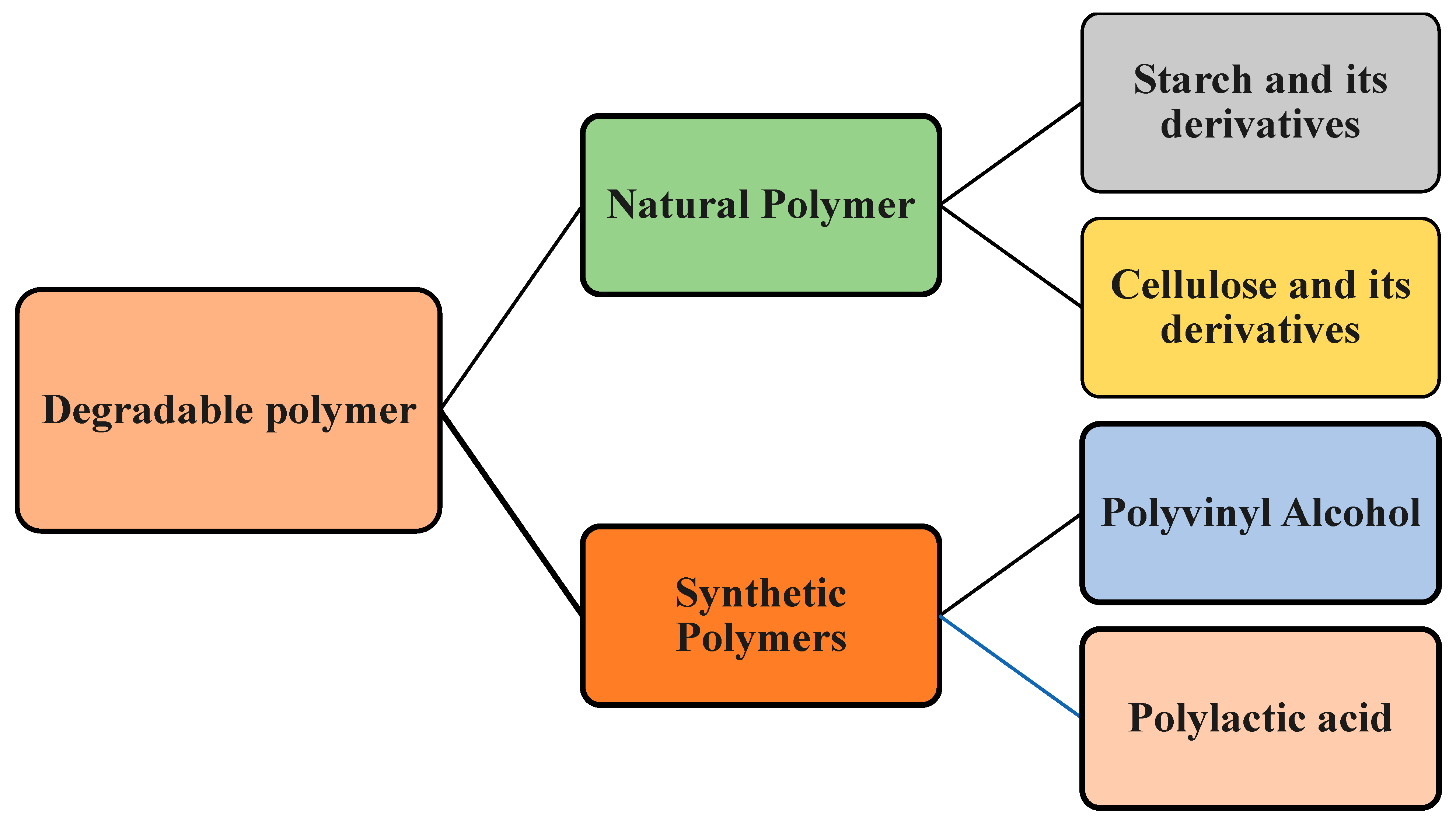 Polymers 16 01356 g002