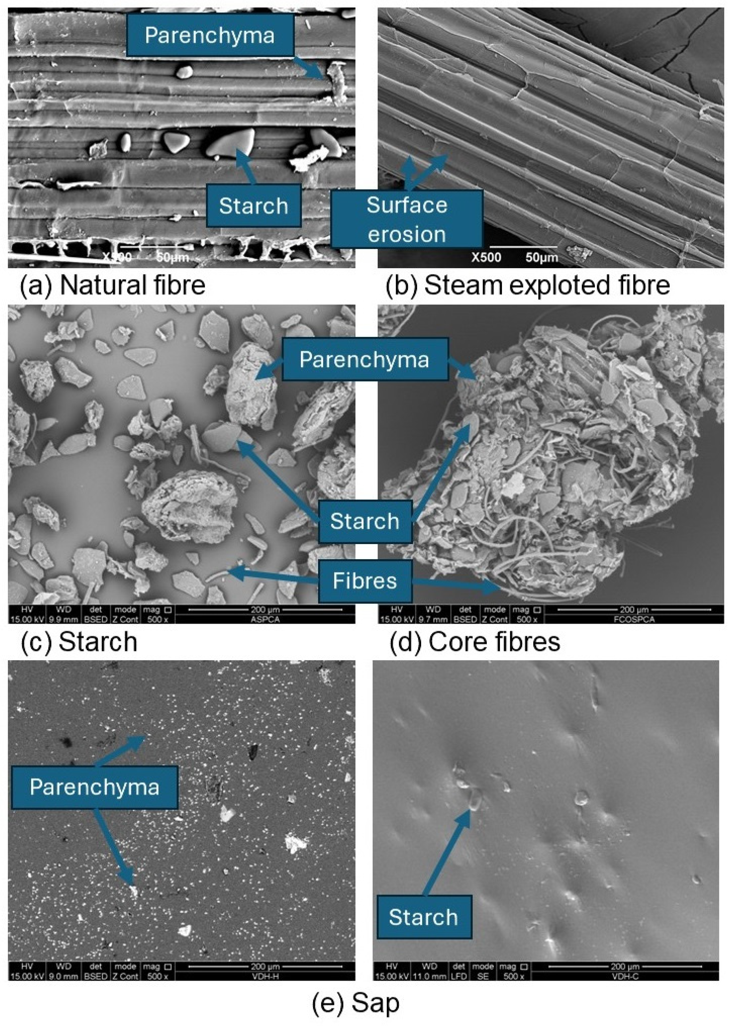 Polymers 16 01357 g003