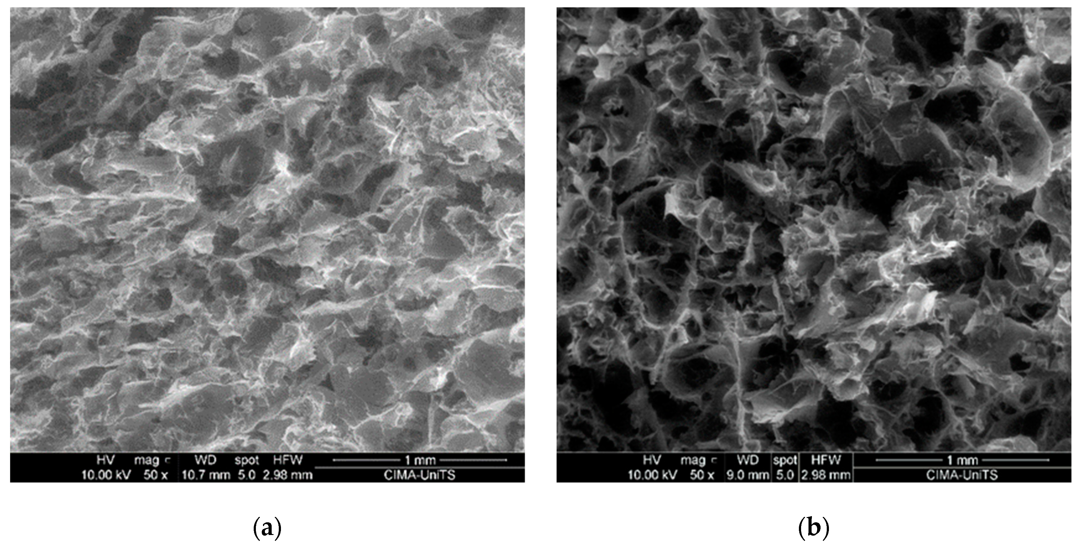 Polymers 16 01360 g002a