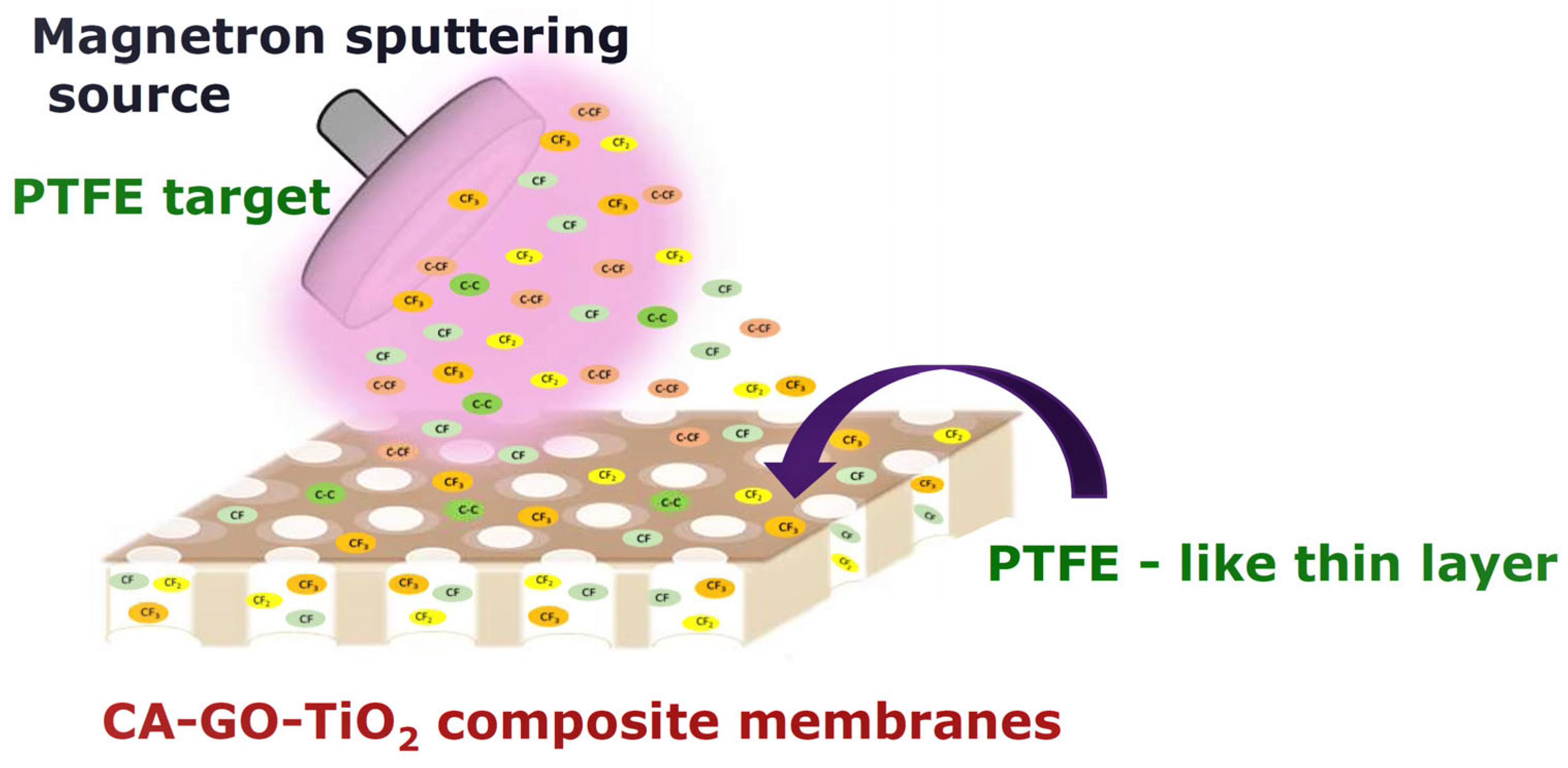 Polymers 16 01368 g002