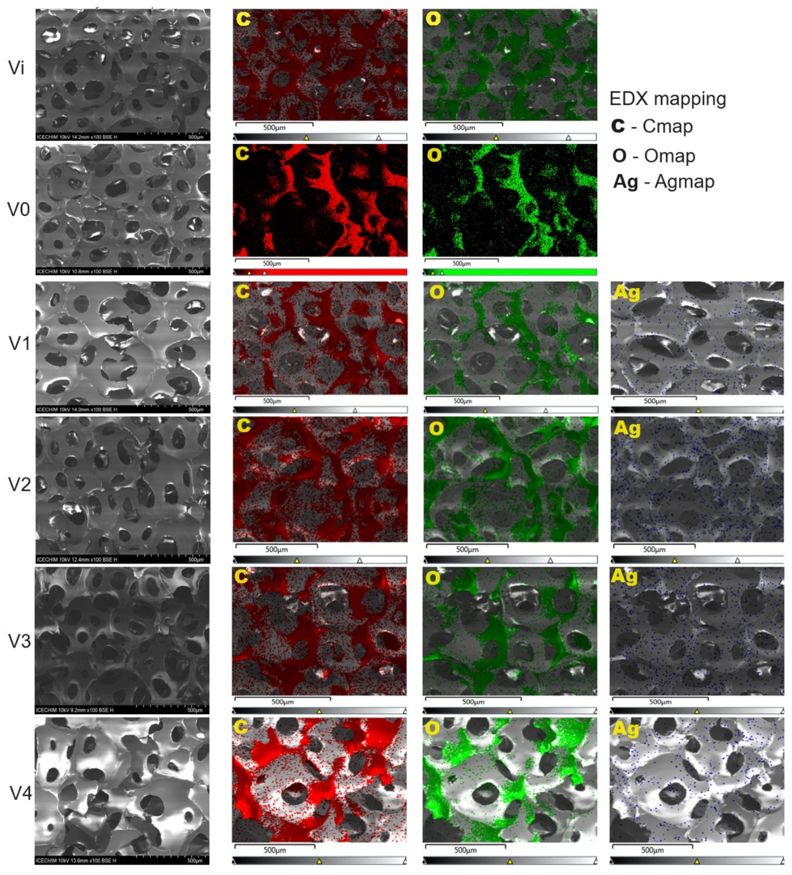Polymers 16 01369 g006