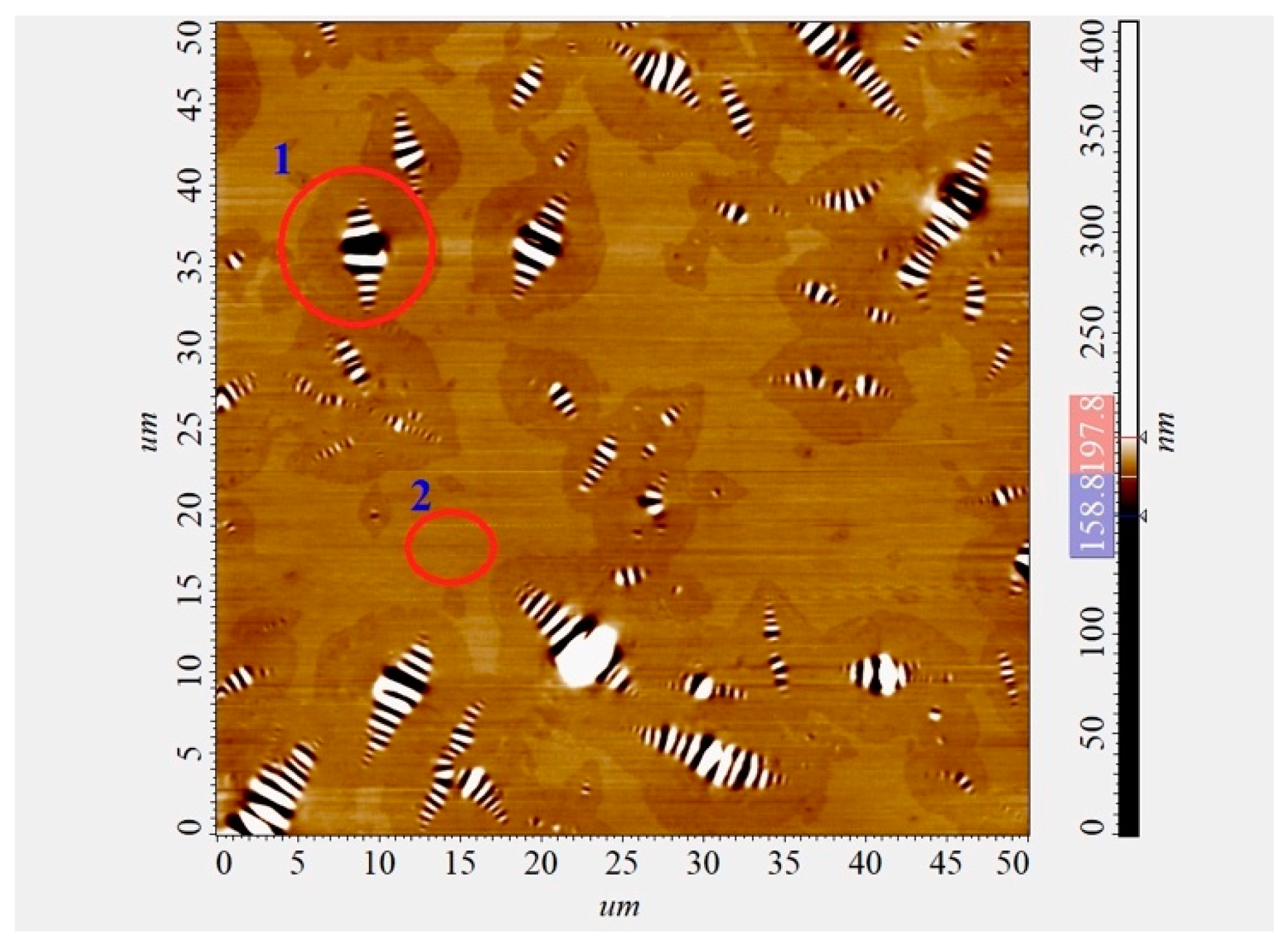 Polymers 16 01370 g001
