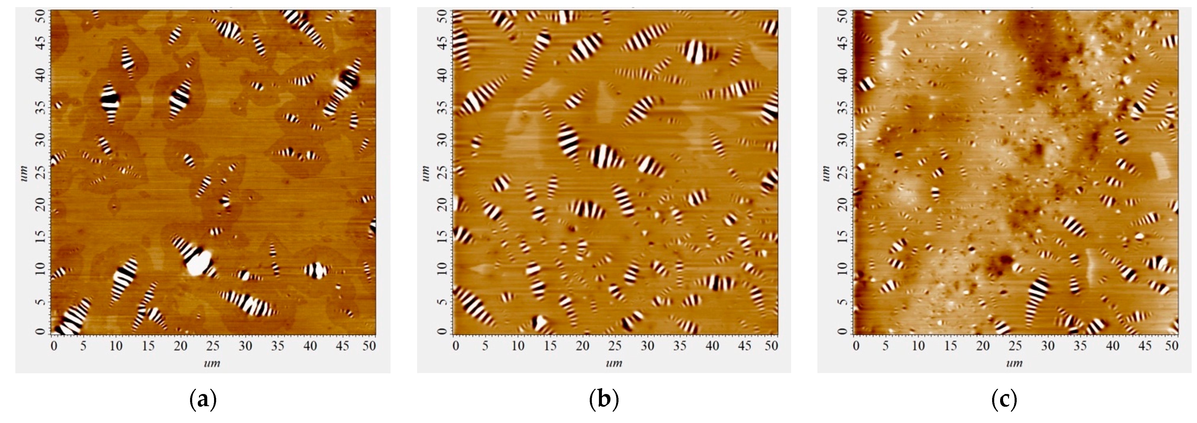 Polymers 16 01370 g008
