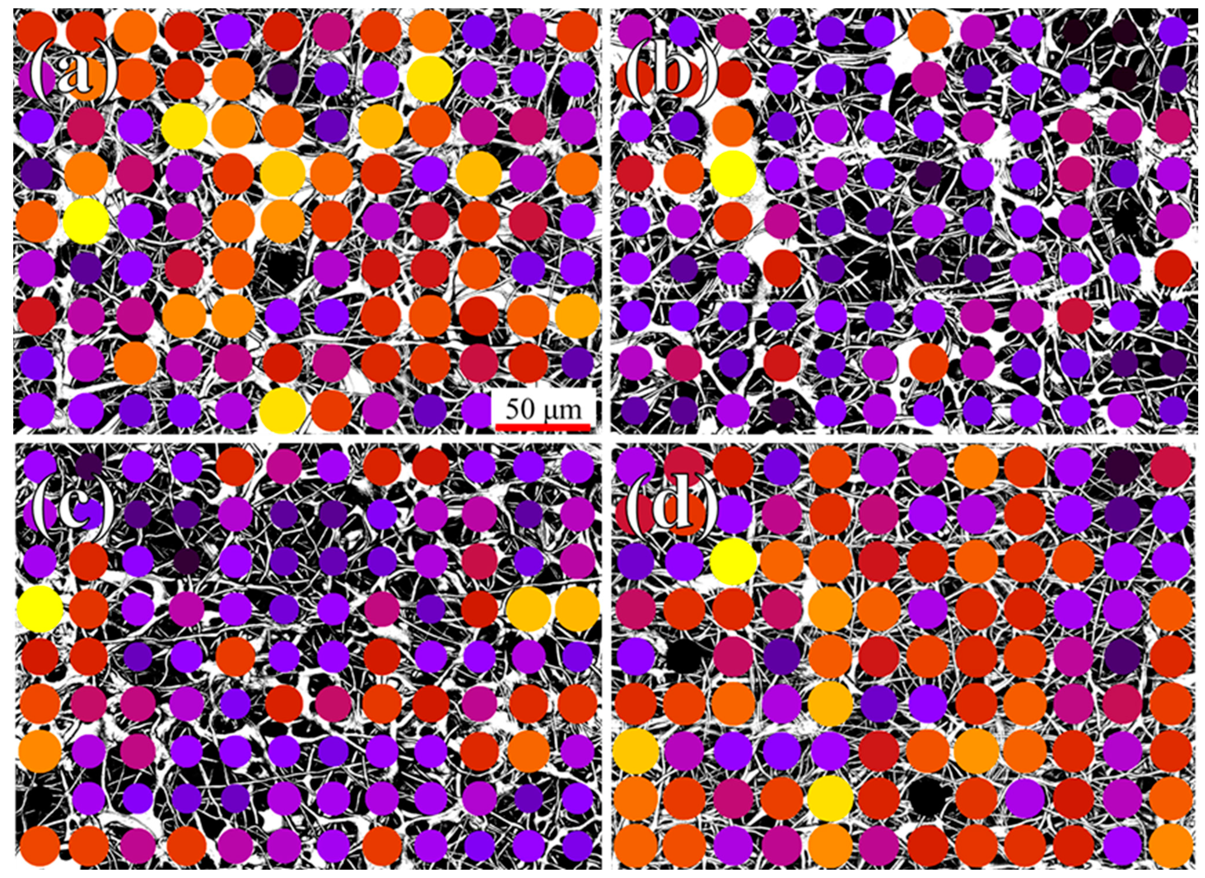 Polymers 16 01371 g002