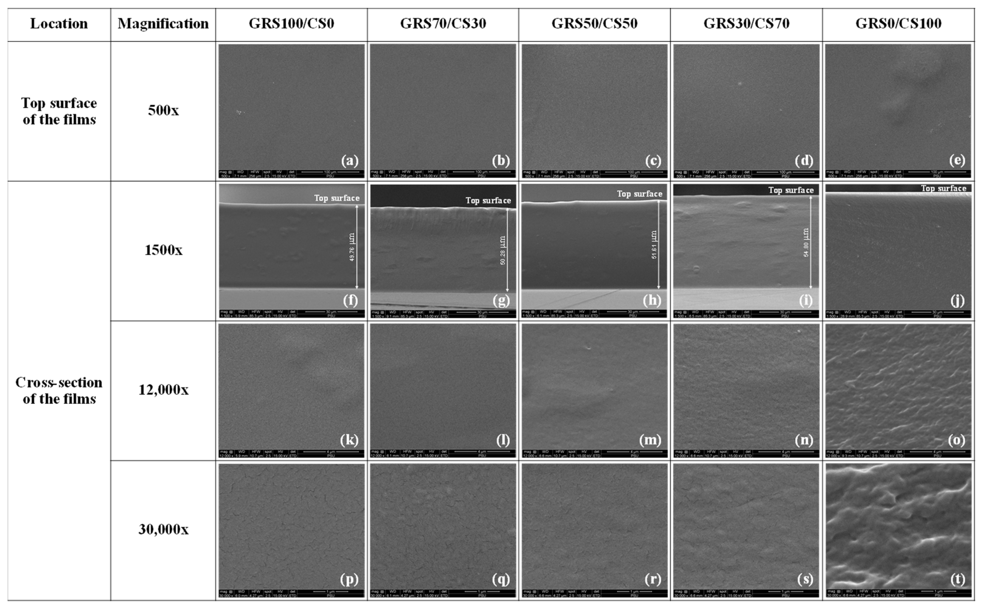 Polymers 16 01375 g002