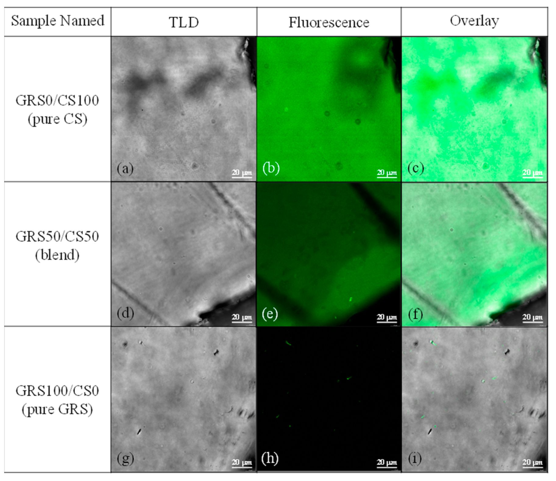 Polymers 16 01375 g003