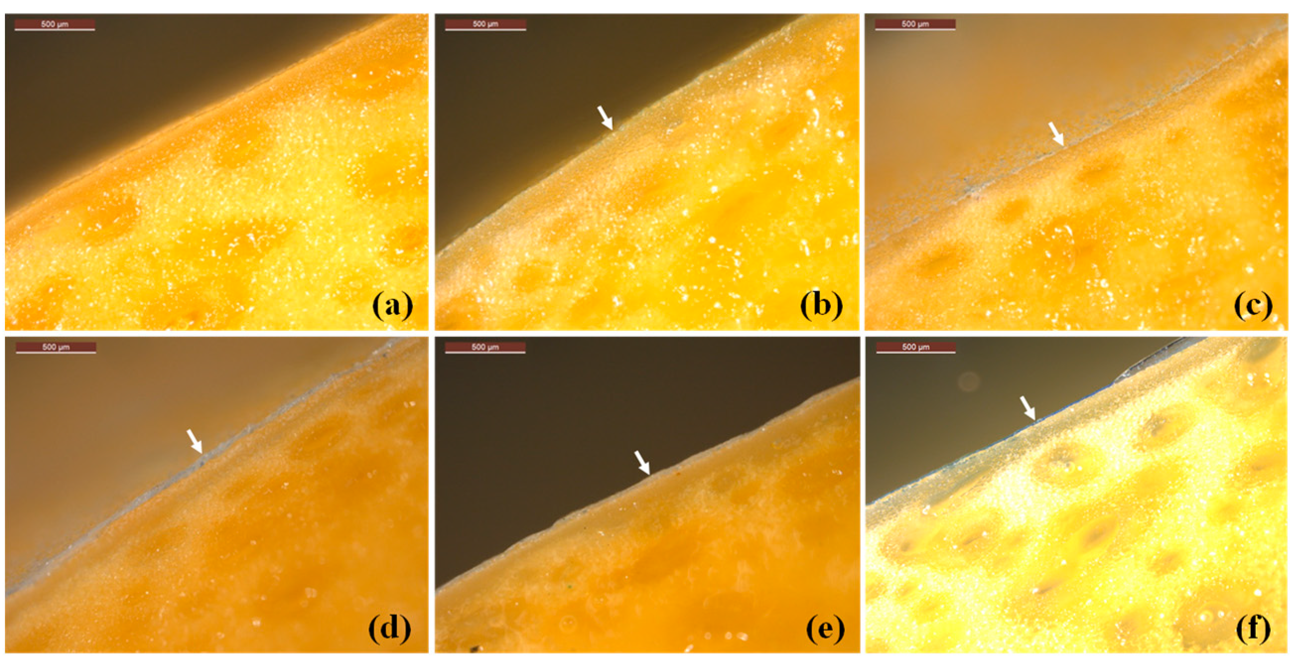 Polymers 16 01375 g006