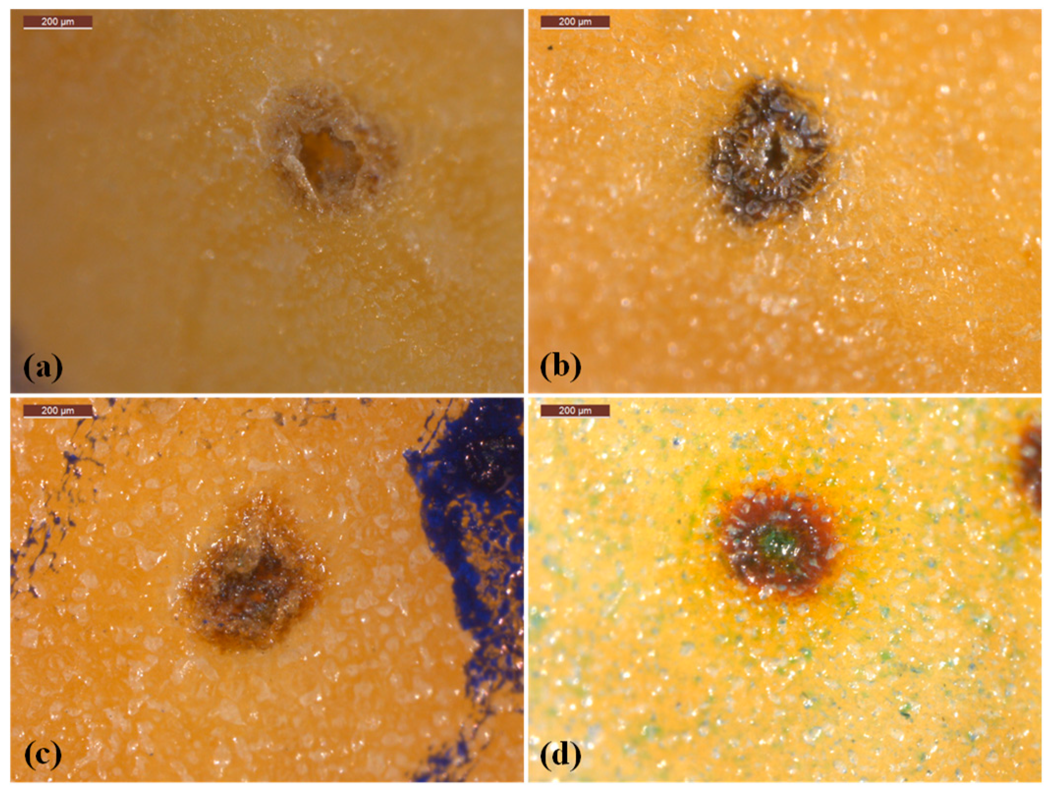 Polymers 16 01375 g007