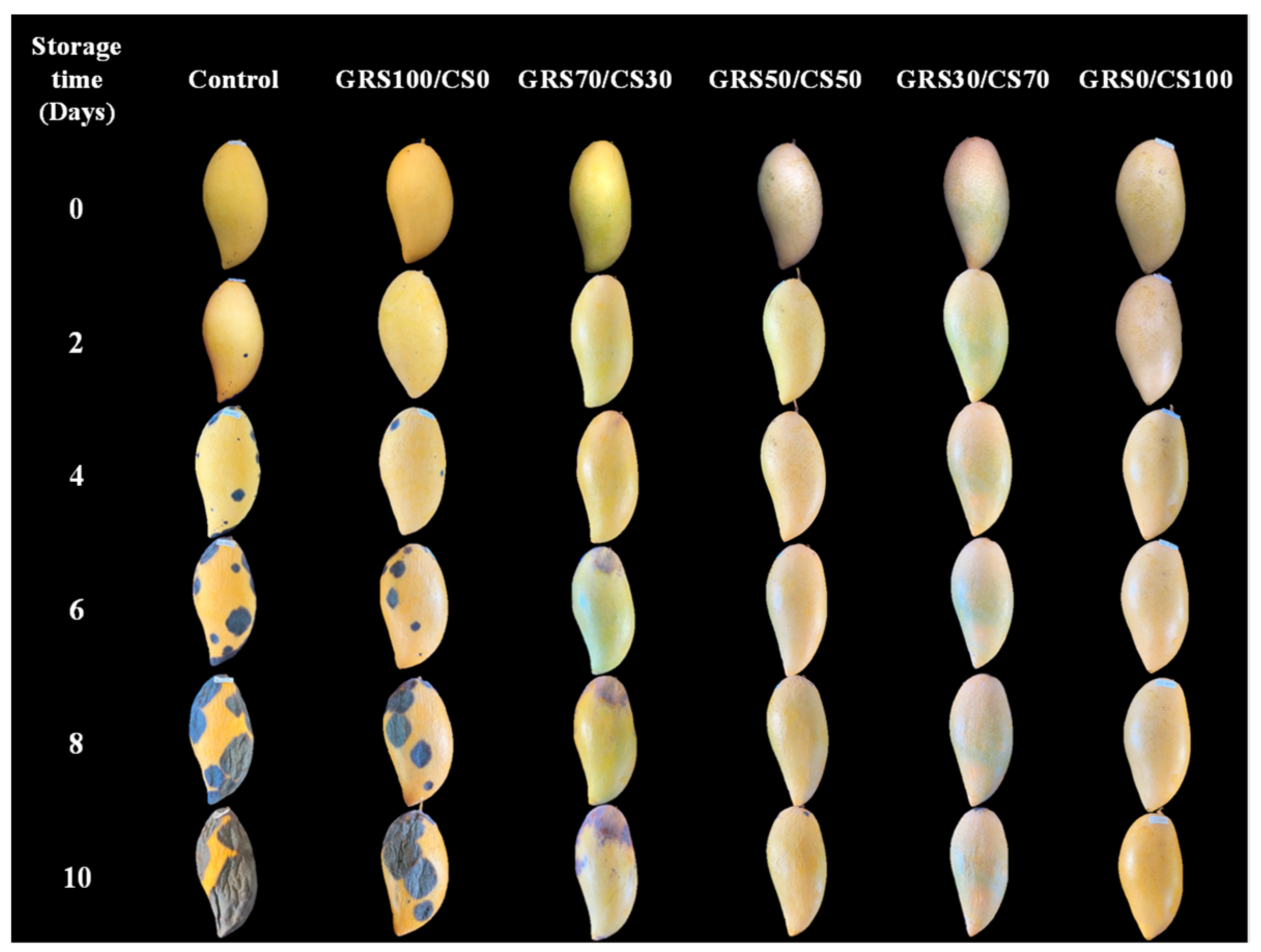 Polymers 16 01375 g009
