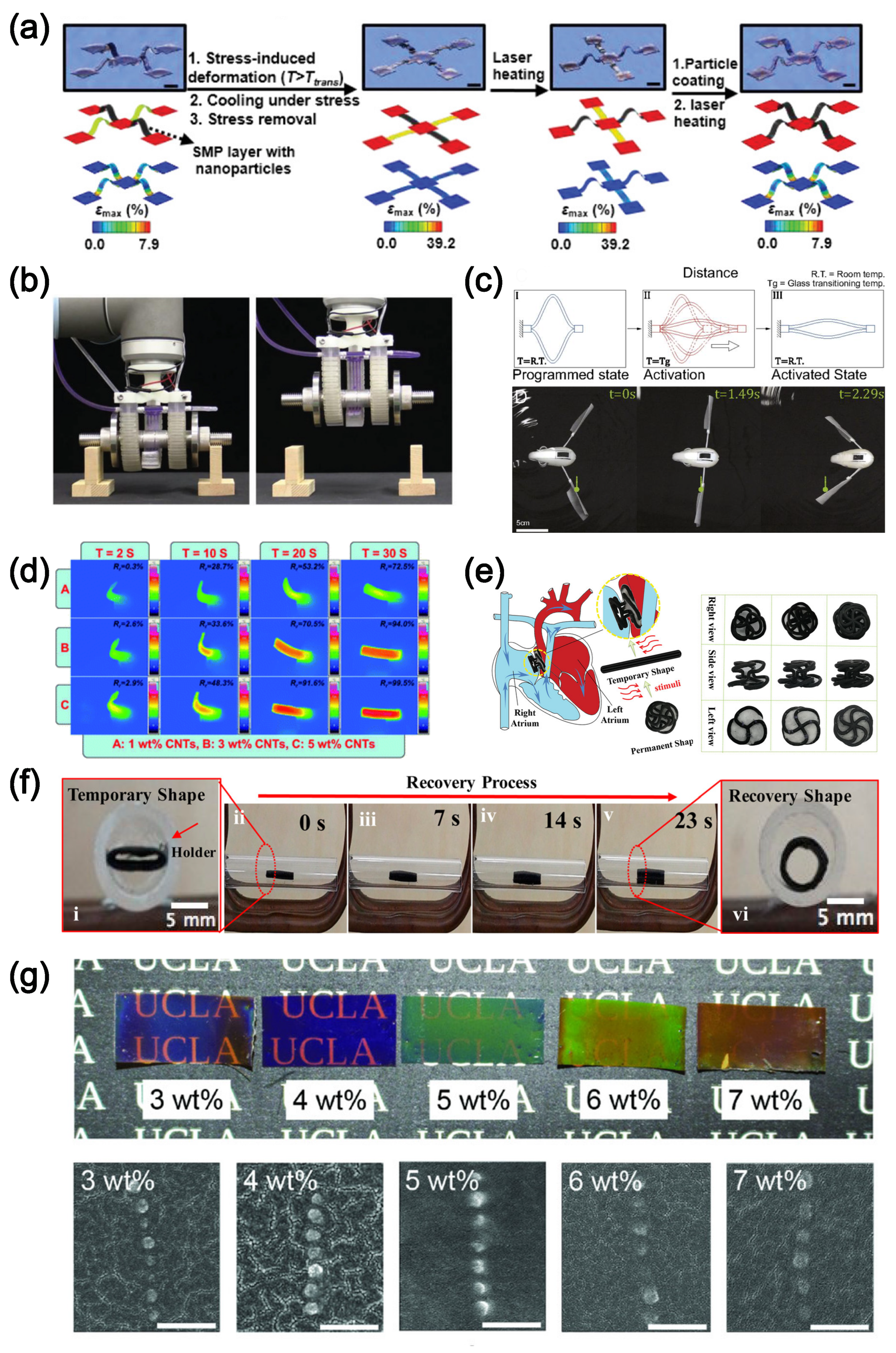 Polymers 16 01387 g011
