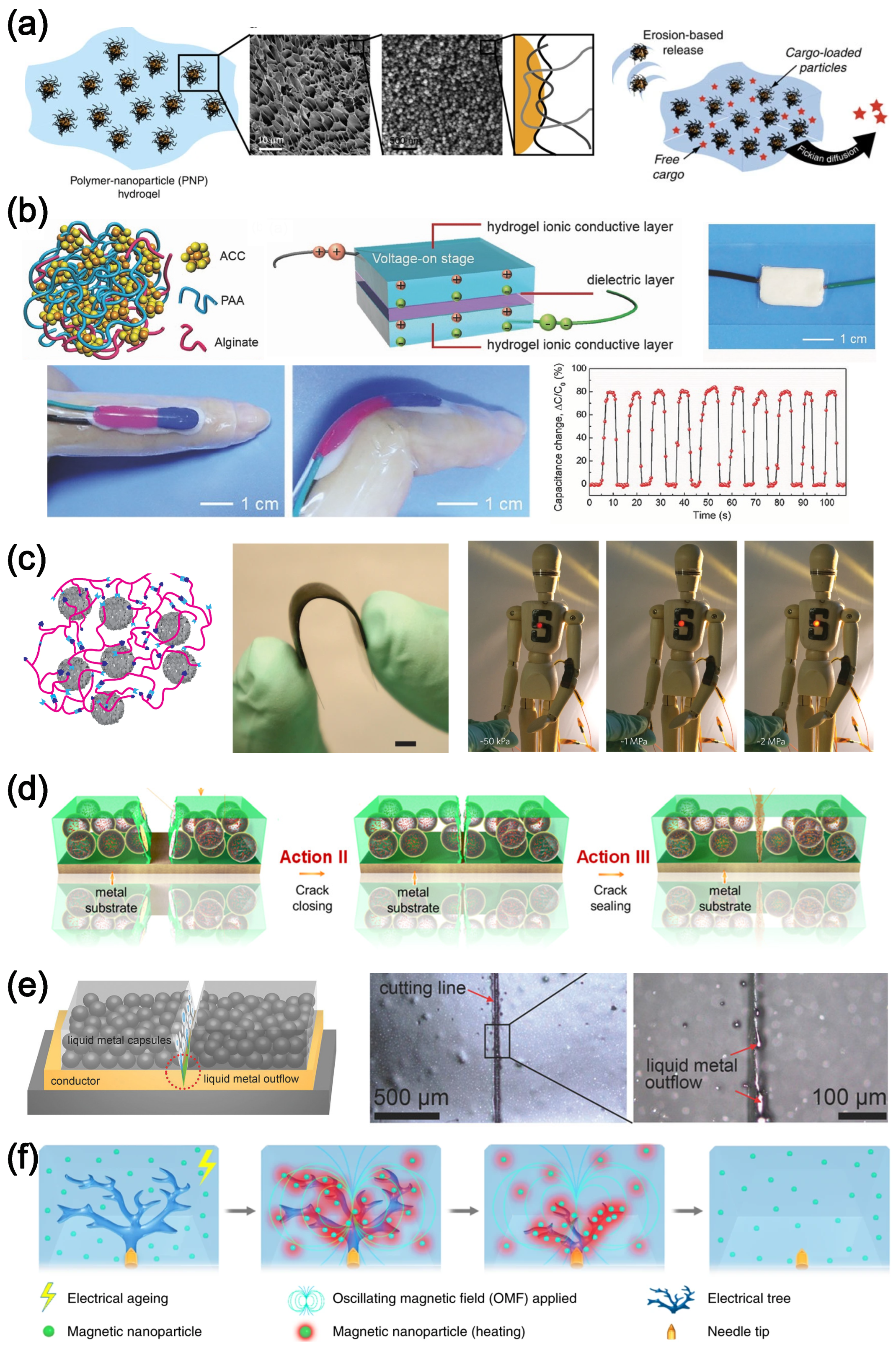 Polymers 16 01387 g012