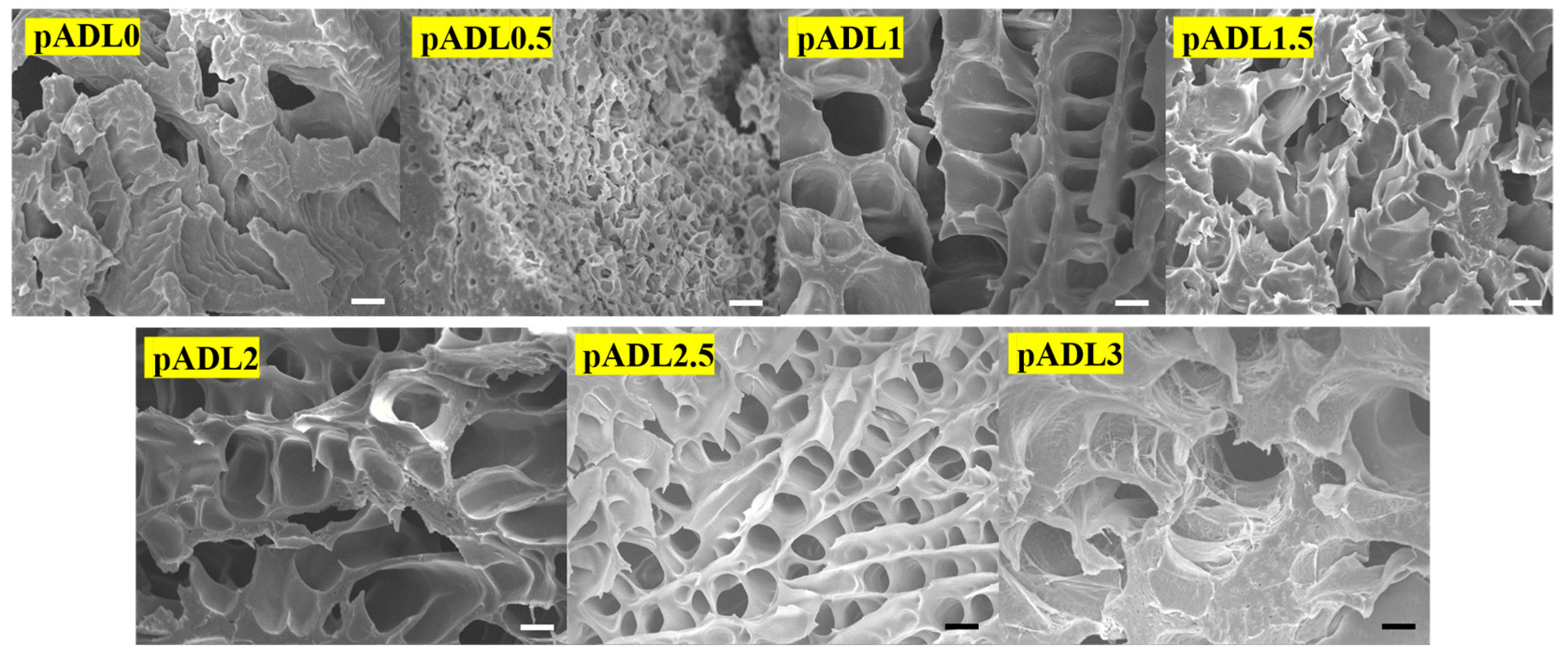 Polymers 16 01388 g004