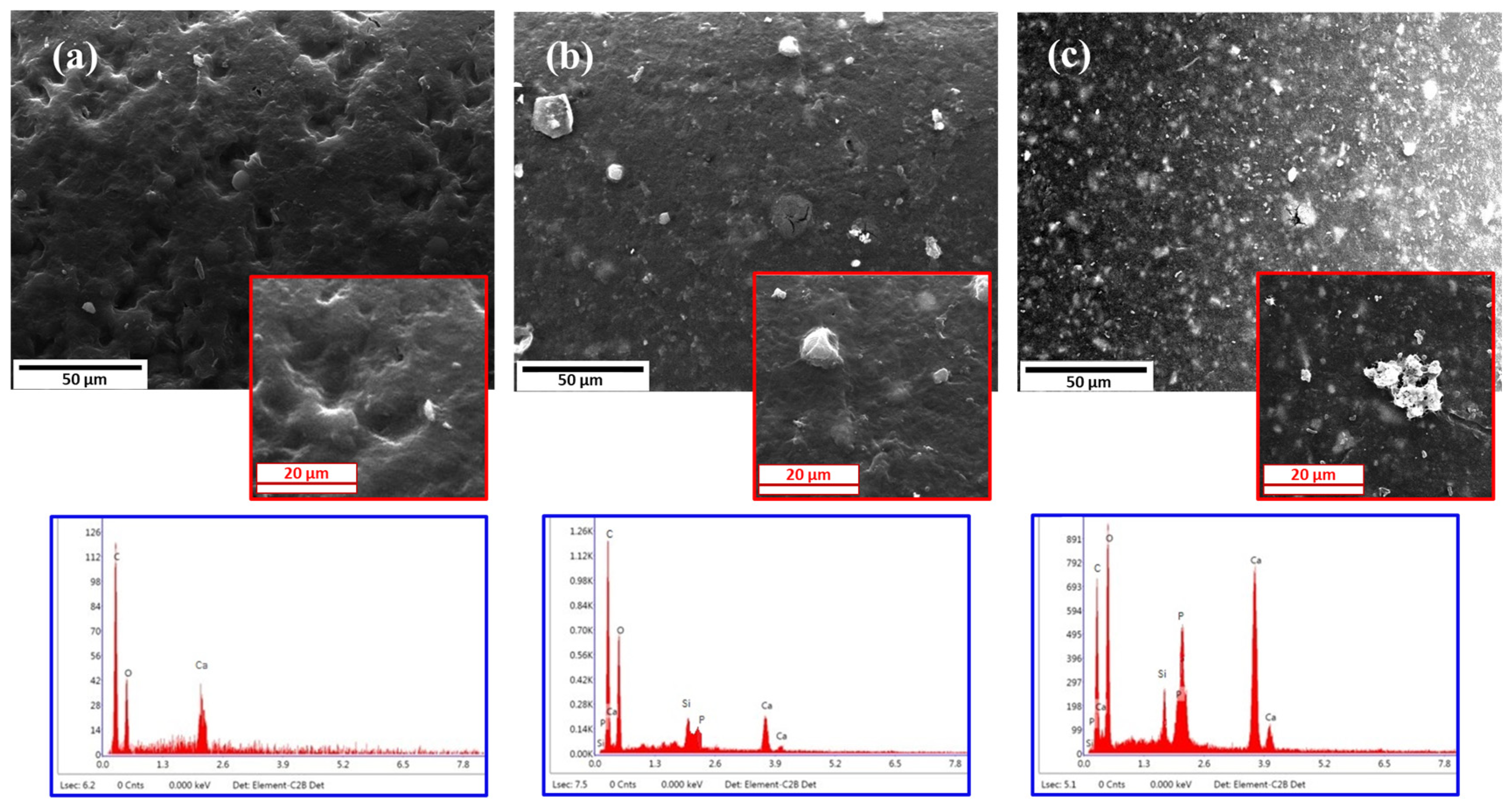 Polymers 16 01389 g006