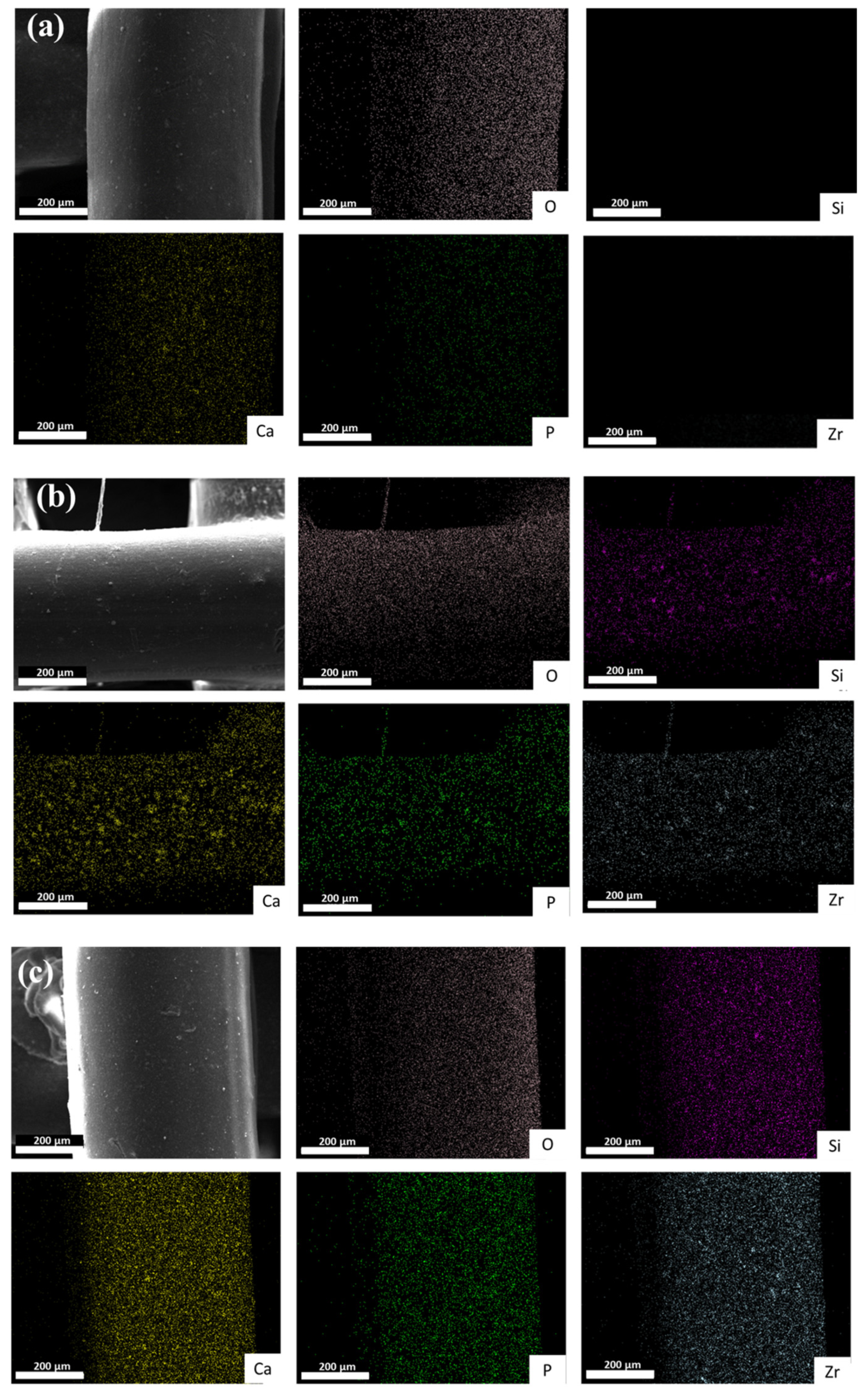 Polymers 16 01389 g007