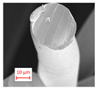 Polymers 16 01391 i001 Polymers 16 01391 i001
