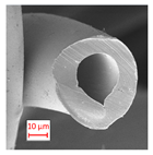 Polymers 16 01391 i002 Polymers 16 01391 i002