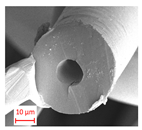 Polymers 16 01391 i003 Polymers 16 01391 i003