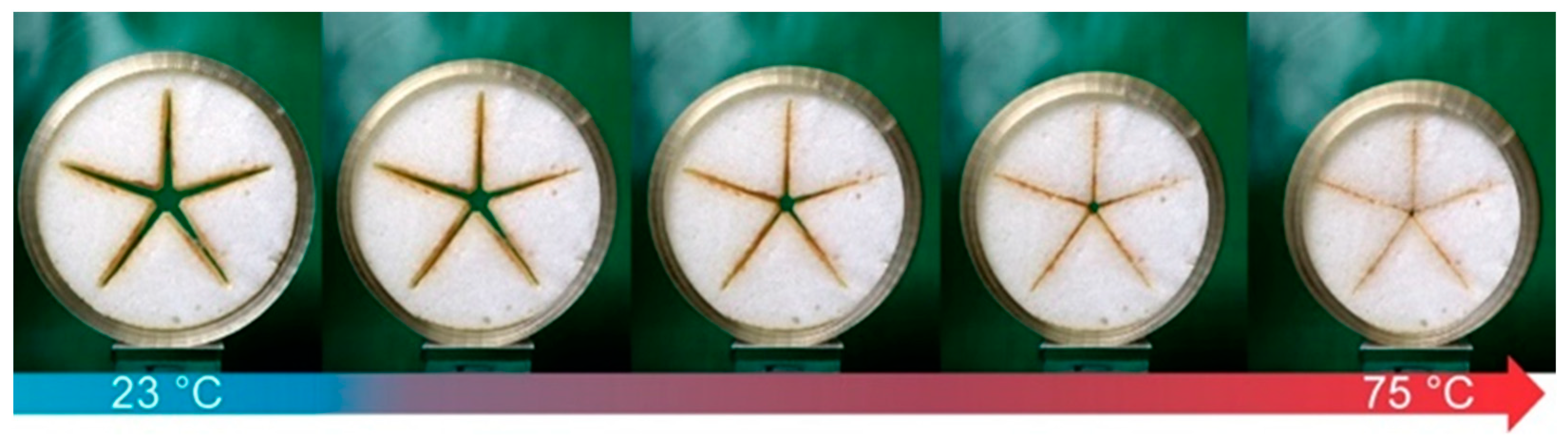 Polymers 16 01393 g005