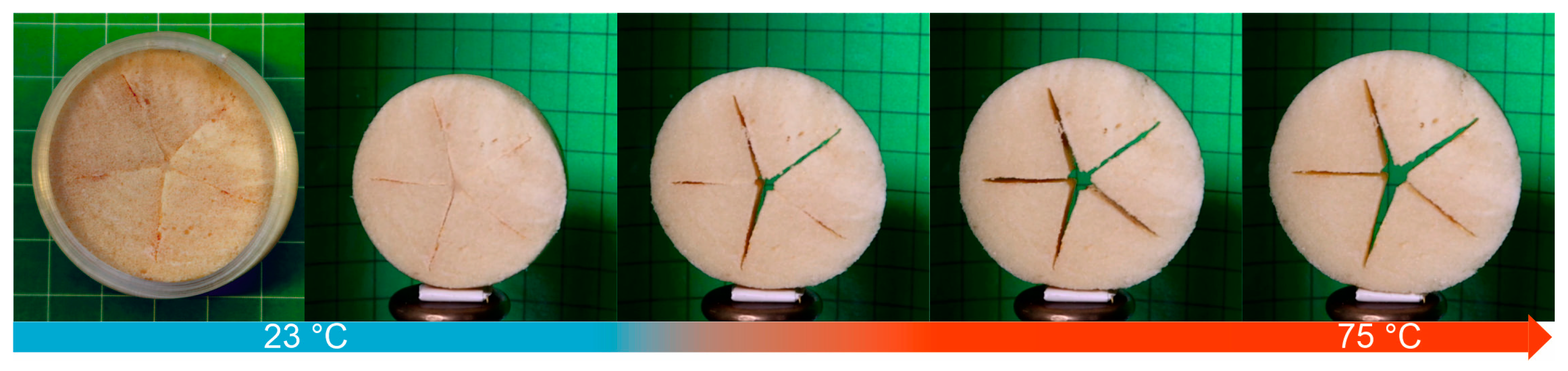 Polymers 16 01393 g006