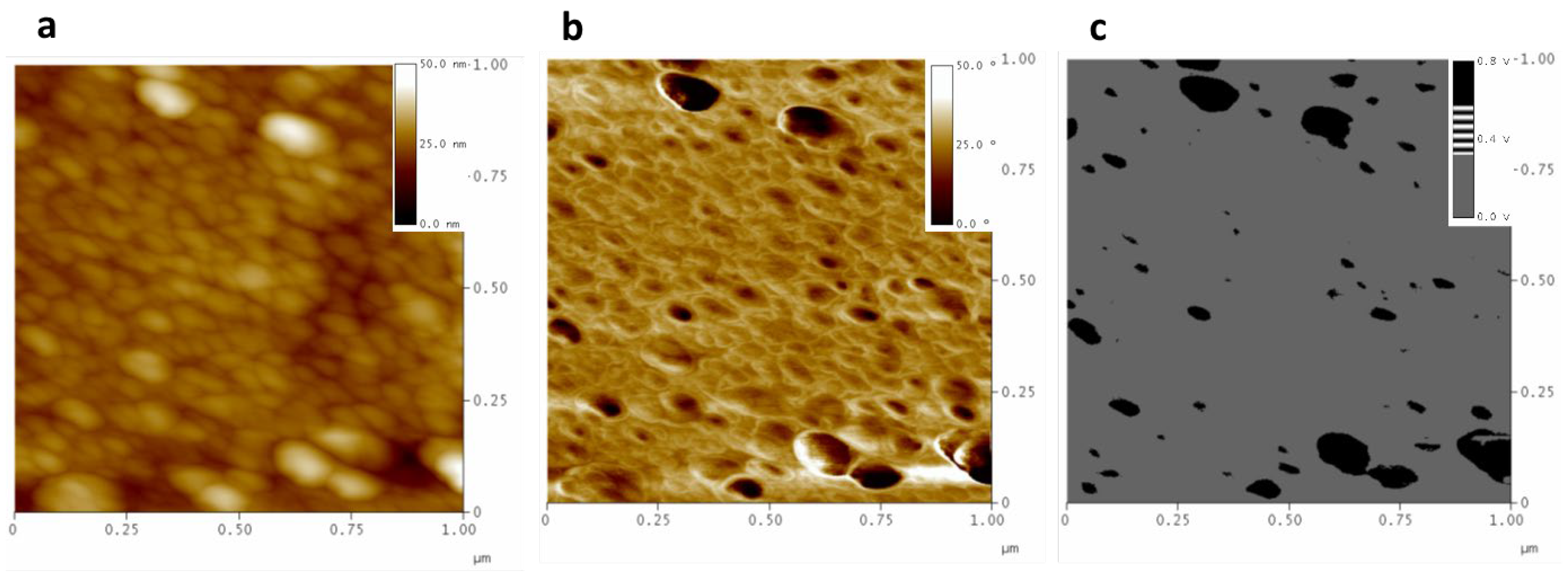 Polymers 16 01397 g003 Polymers 16 01397 g003