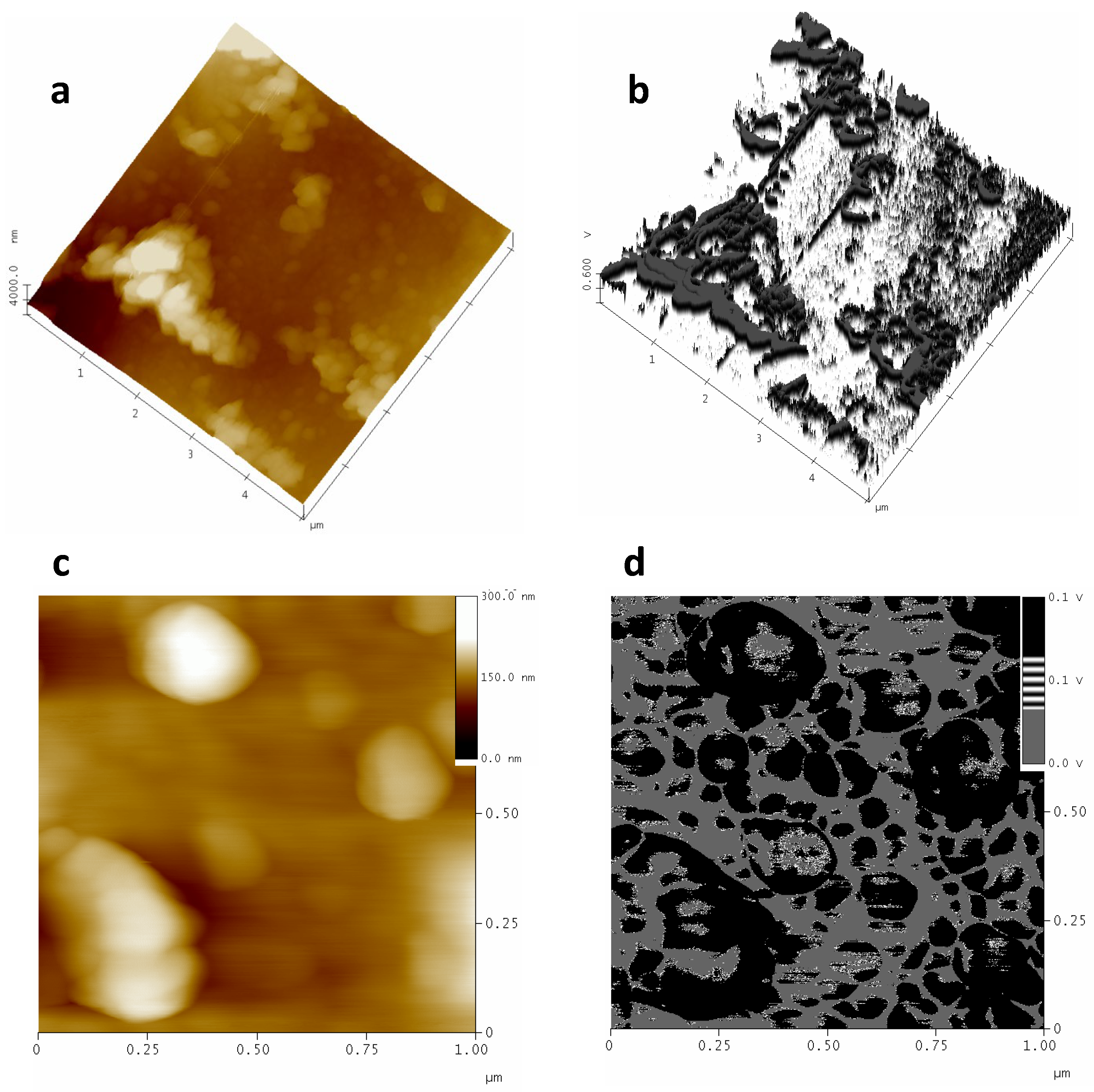 Polymers 16 01397 g004 Polymers 16 01397 g004