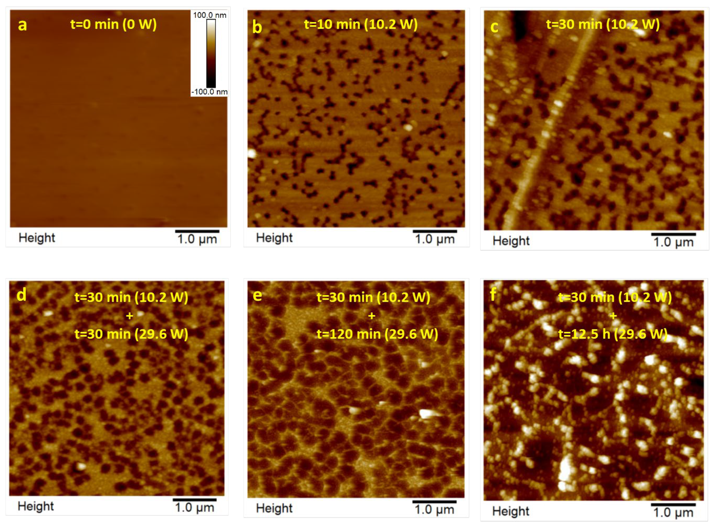 Polymers 16 01397 g005 Polymers 16 01397 g005