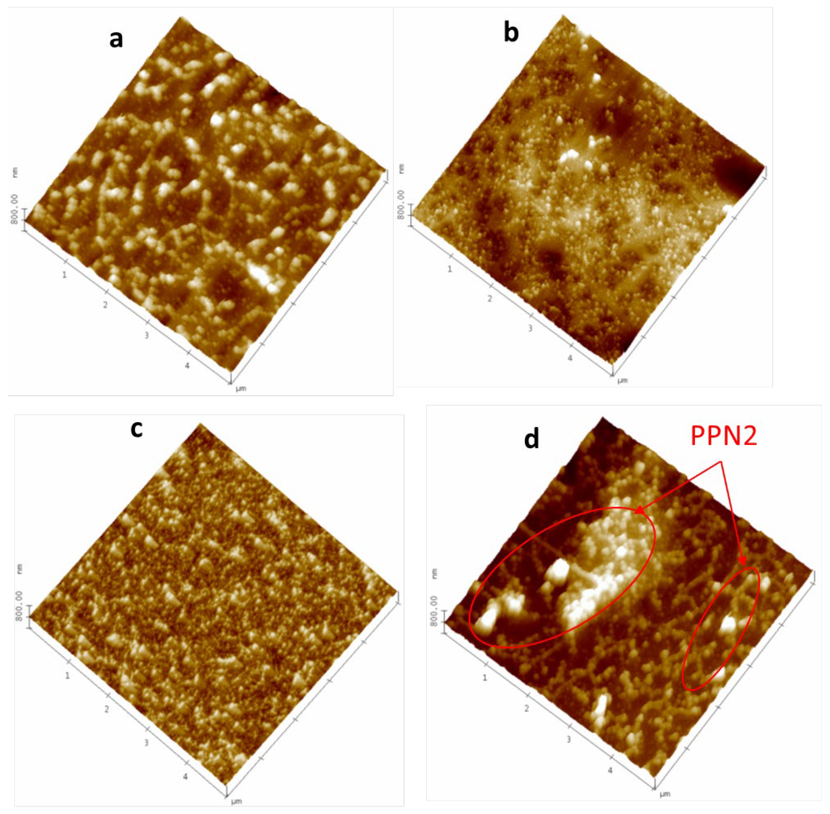 Polymers 16 01397 g006 Polymers 16 01397 g006