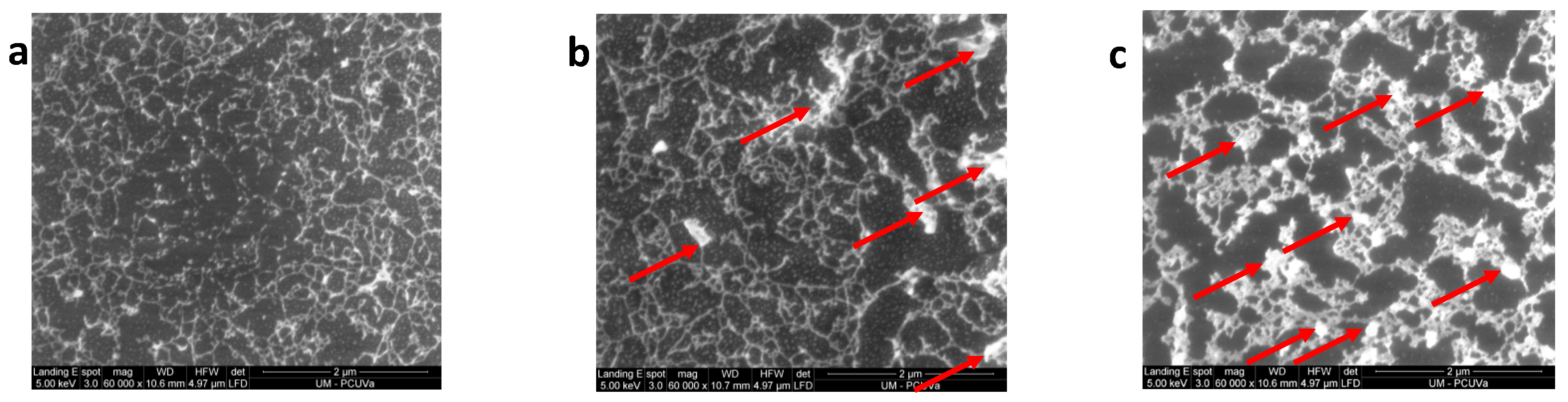 Polymers 16 01397 g014 Polymers 16 01397 g014
