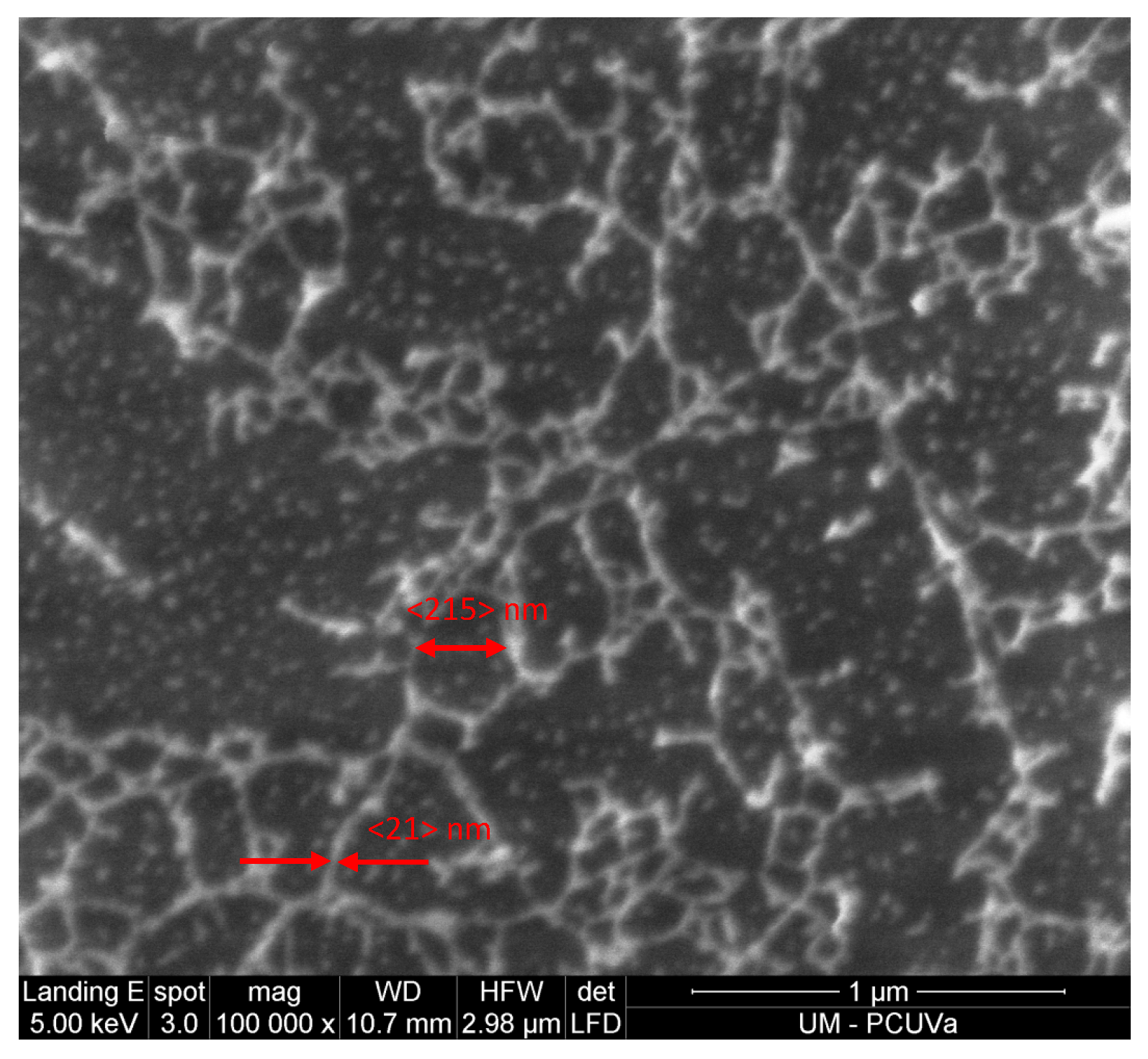 Polymers 16 01397 g015 Polymers 16 01397 g015