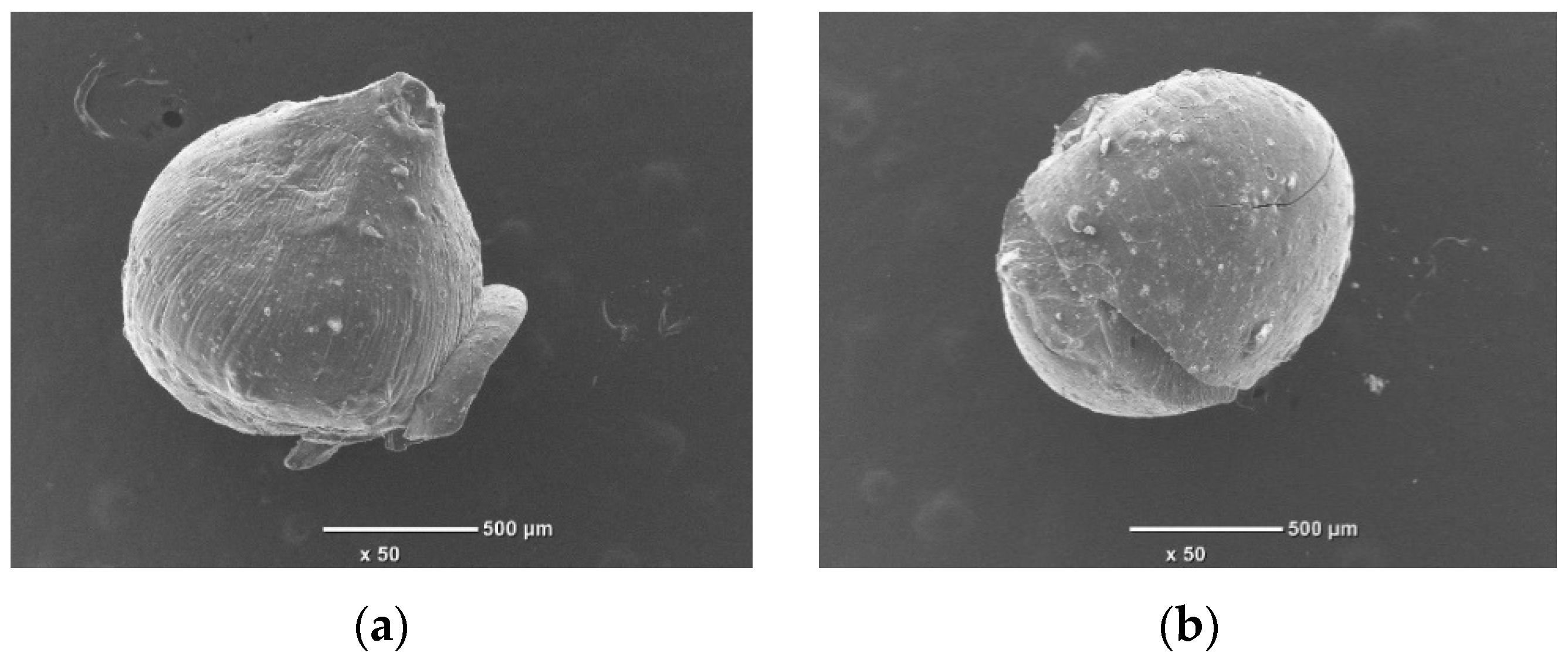 Polymers 16 01399 g003