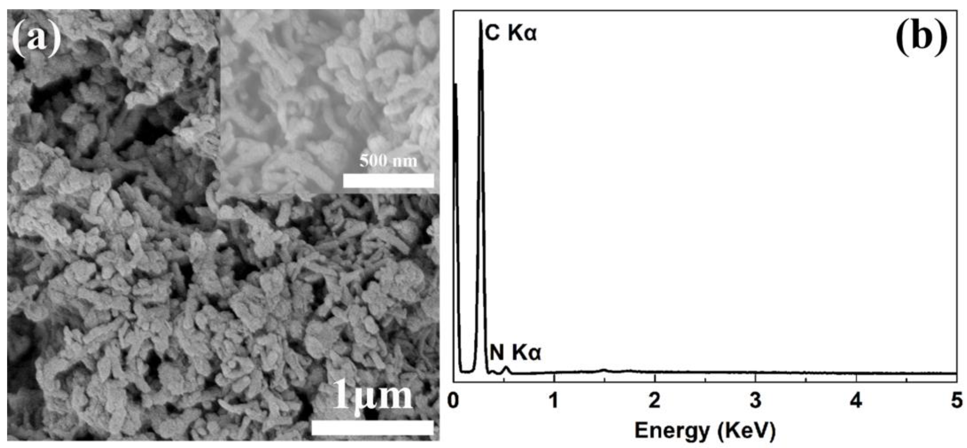 Polymers 16 01401 g001