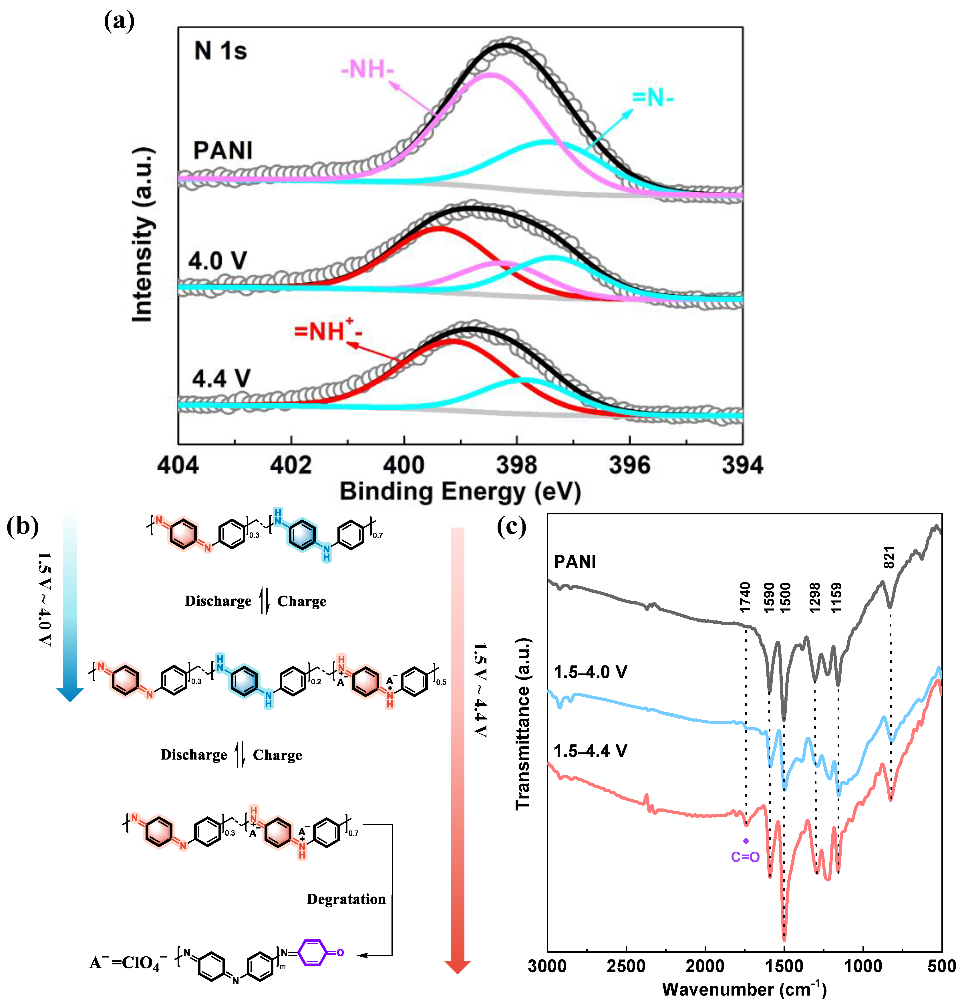 Polymers 16 01401 g003