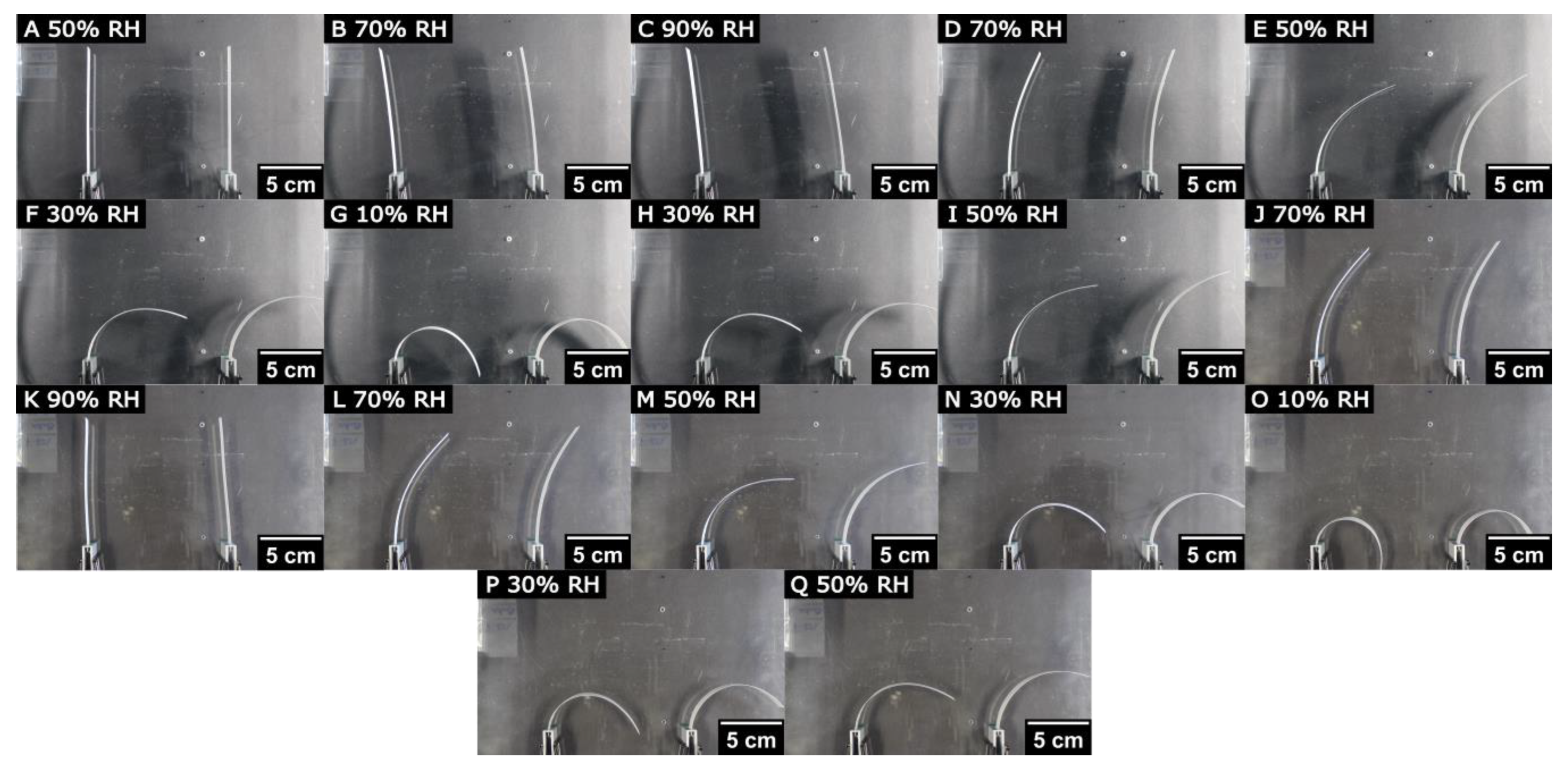 Polymers 16 01402 g007