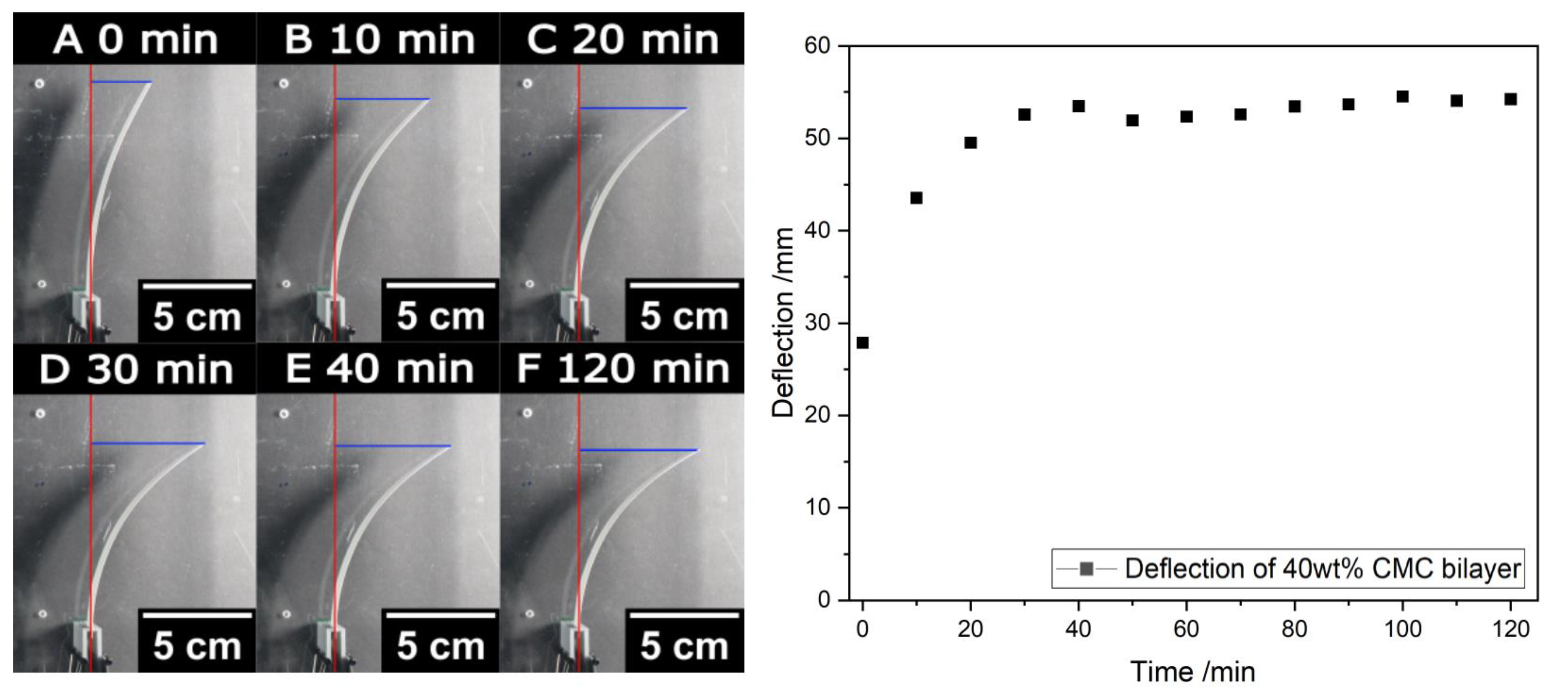 Polymers 16 01402 g008