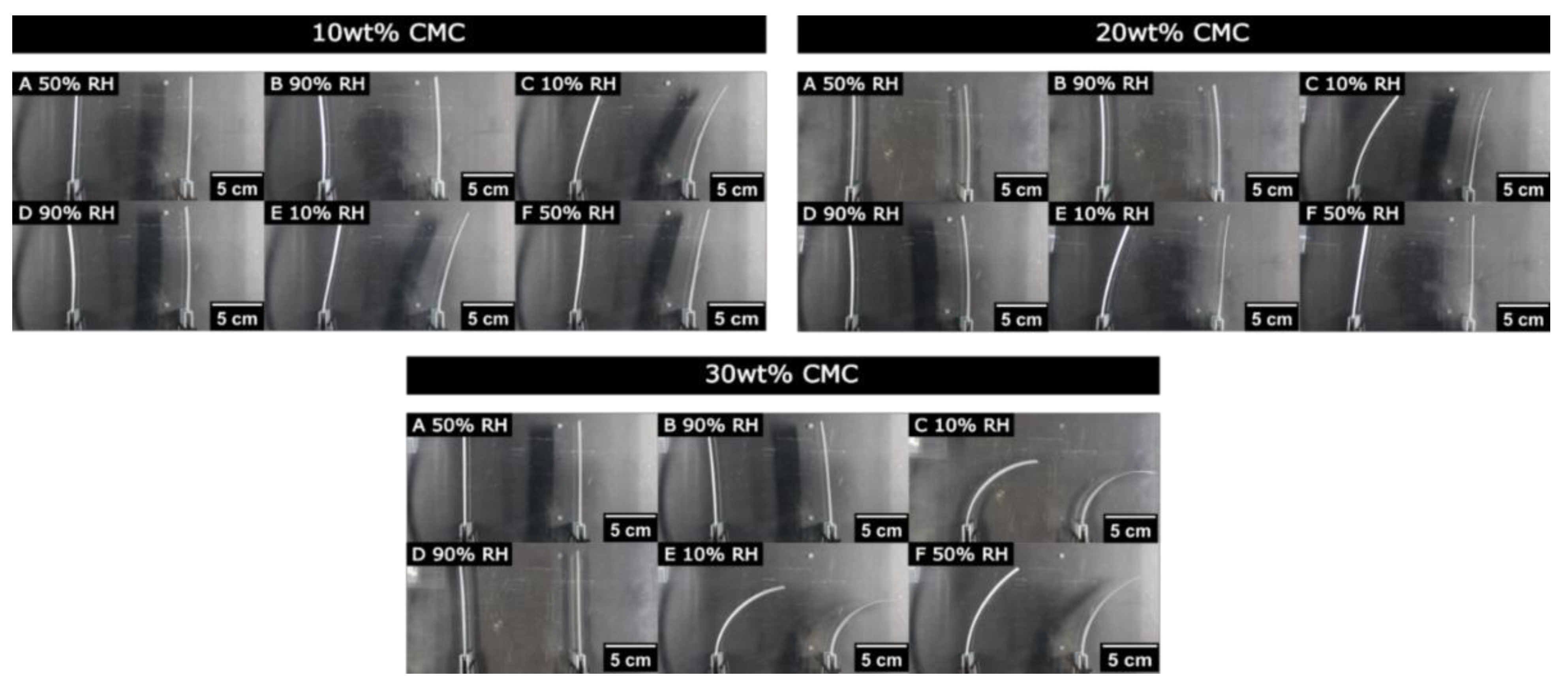 Polymers 16 01402 g009