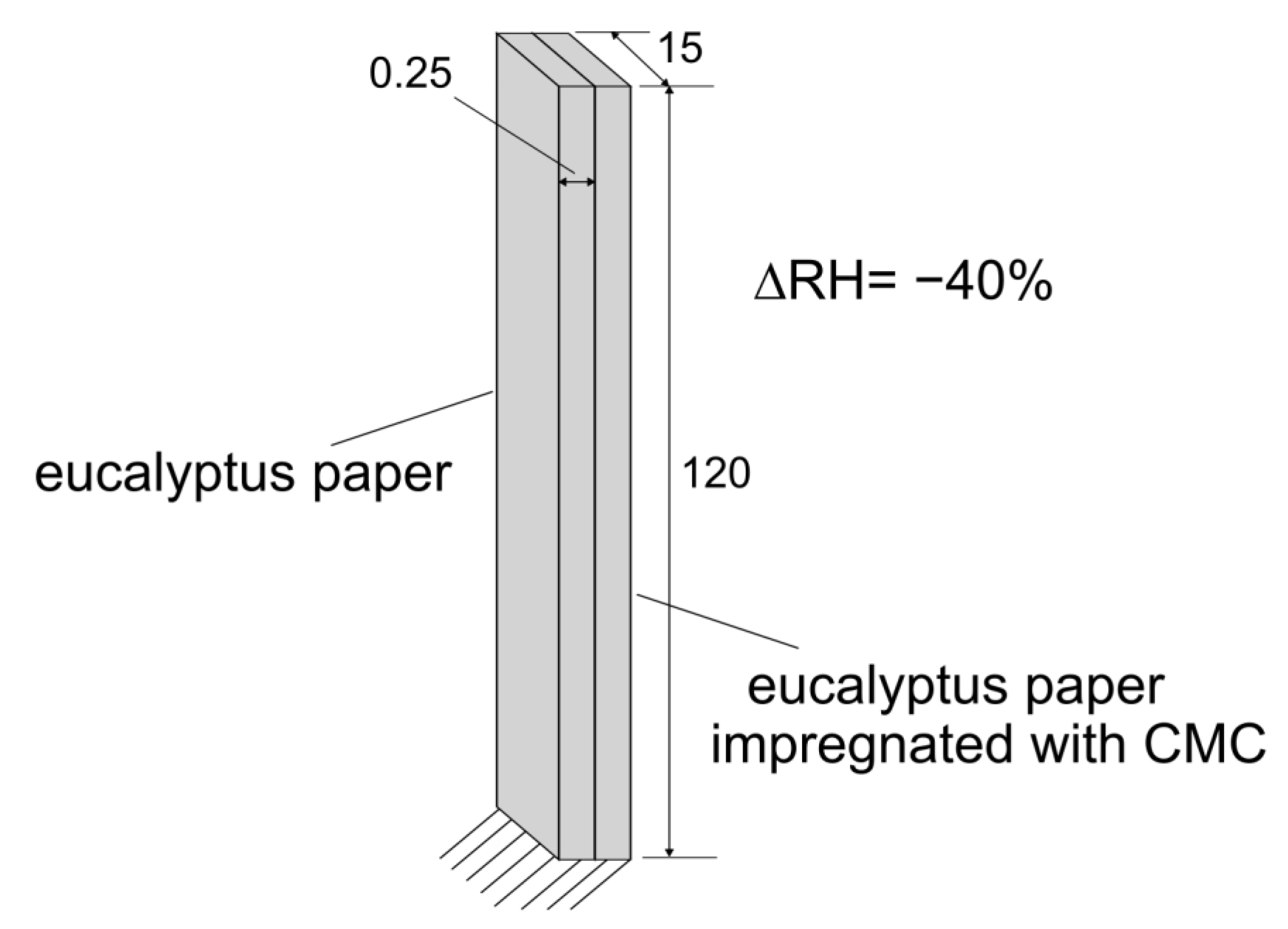Polymers 16 01402 g012